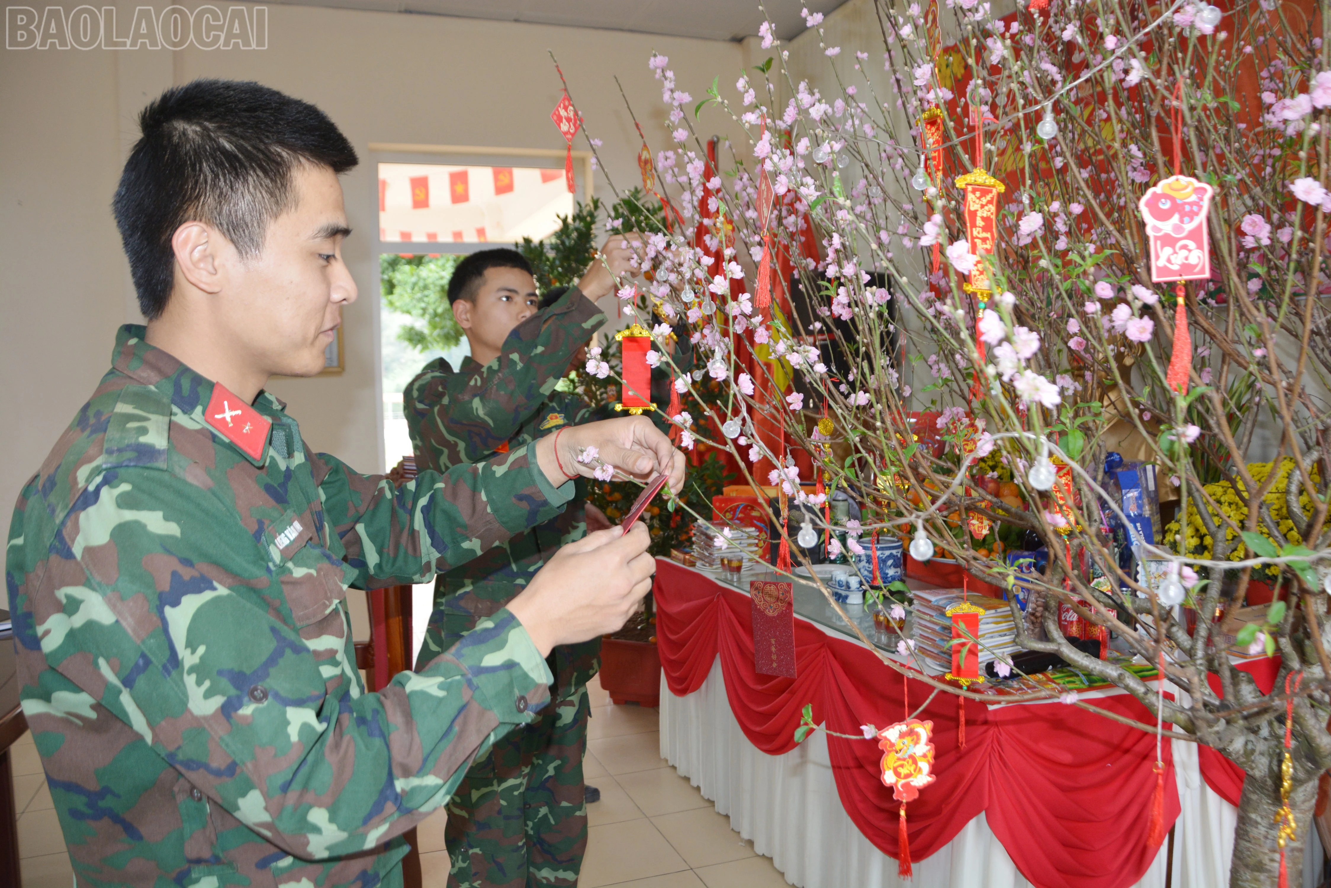 baolaocai-tl_dsc-1629.jpg