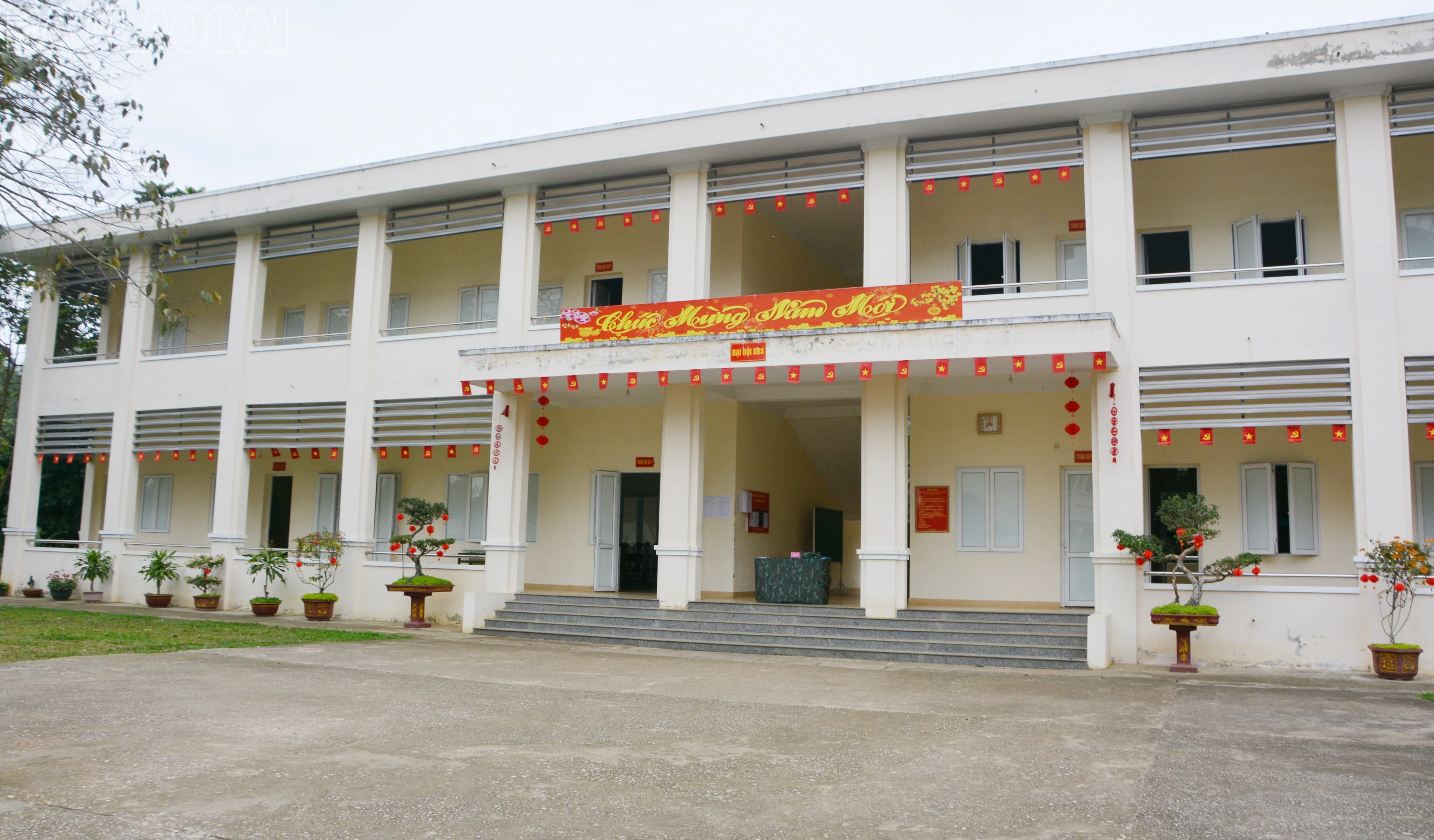 baolaocai-tl_dsc-1673.jpg