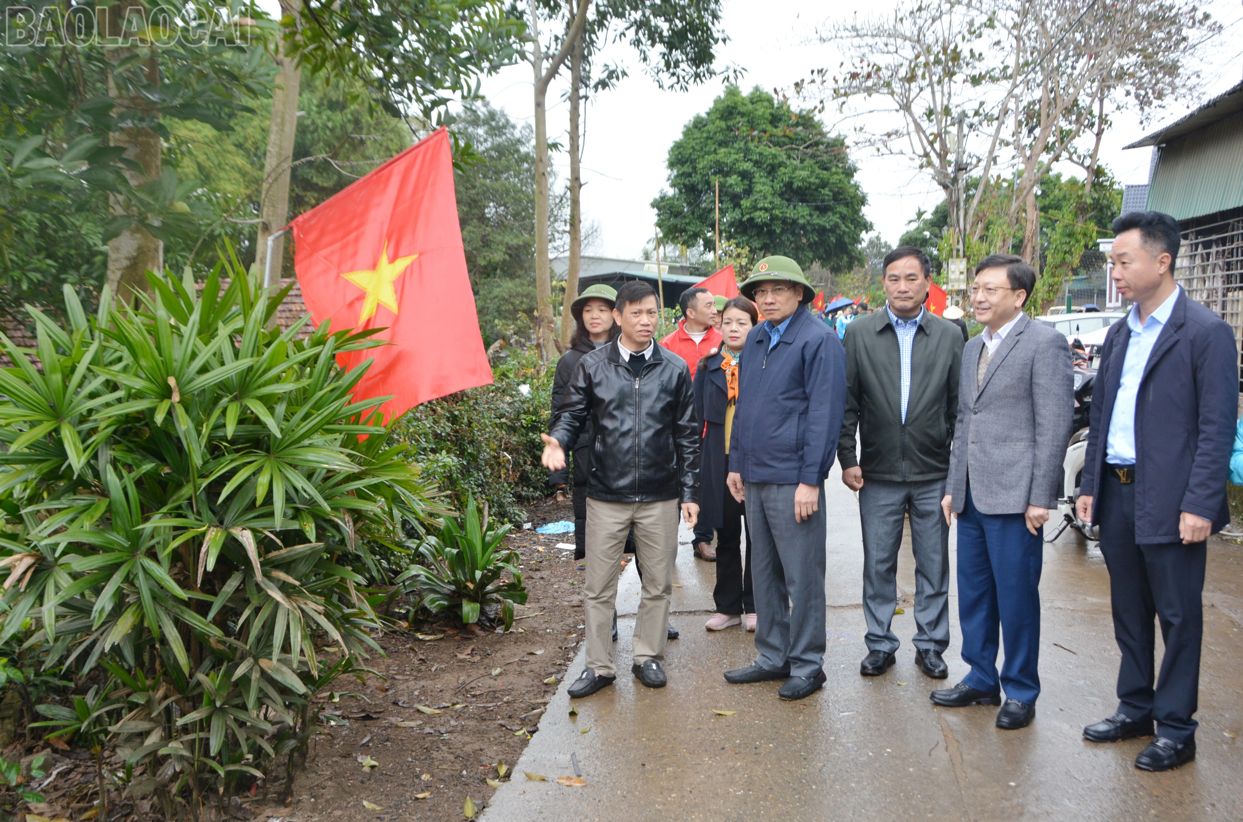baolaocai-tl_dsc-4728.jpg