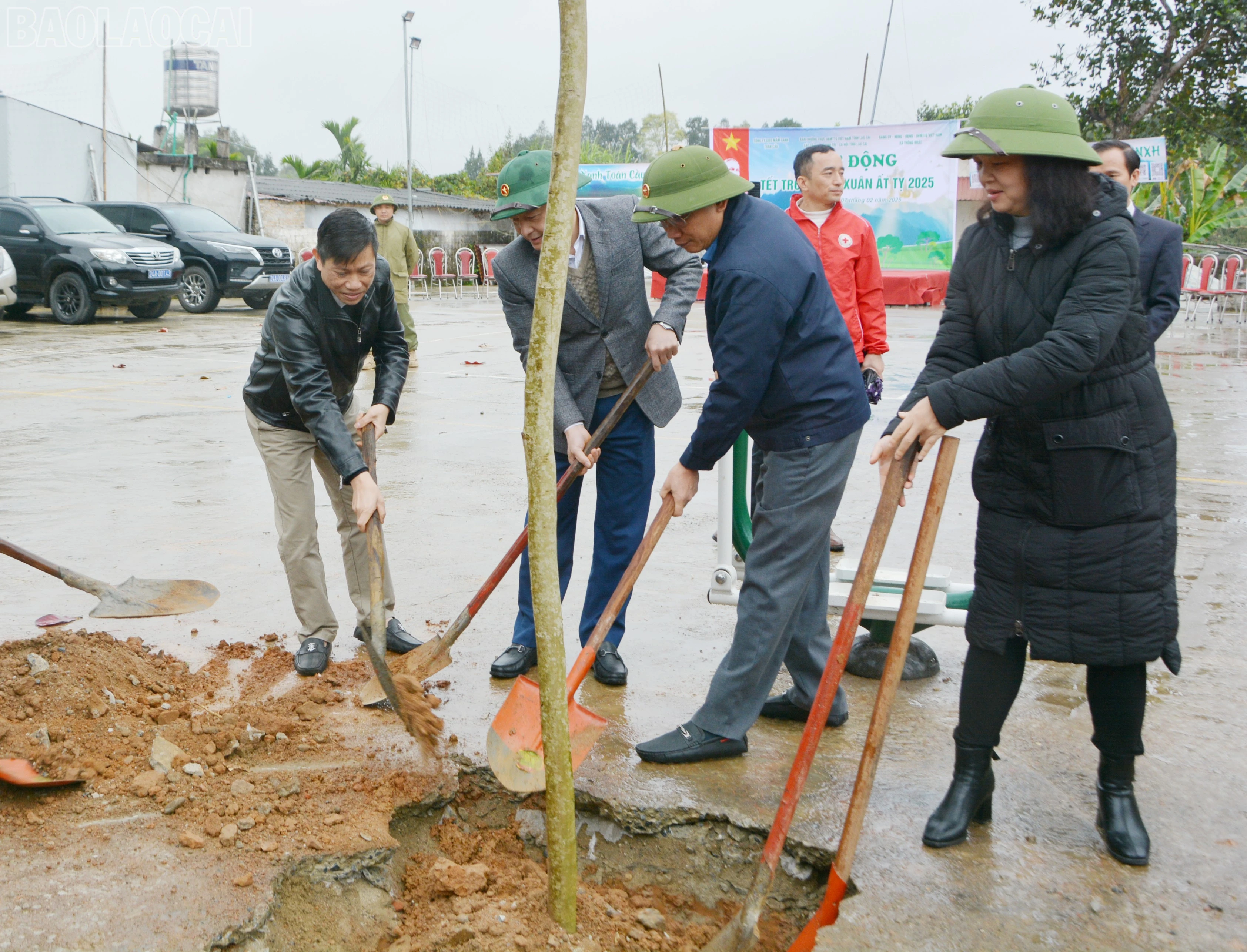 baolaocai-tl_dsc-4698.jpg