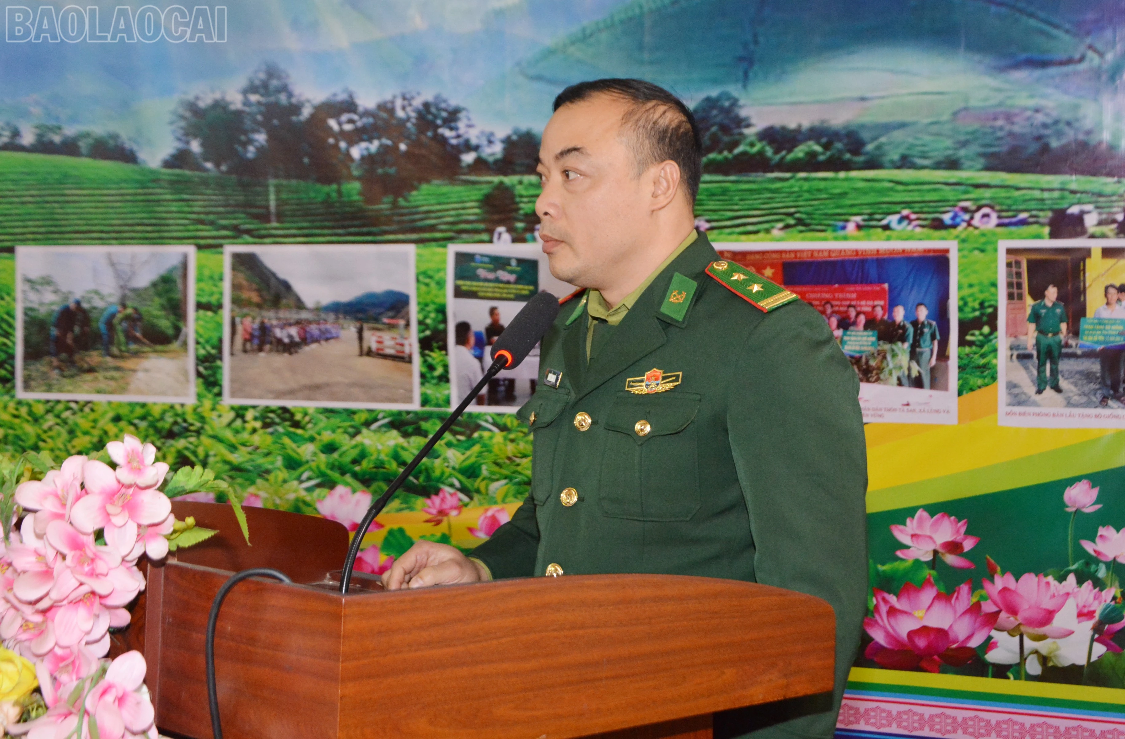 baolaocai-tl_dsc-4815.jpg