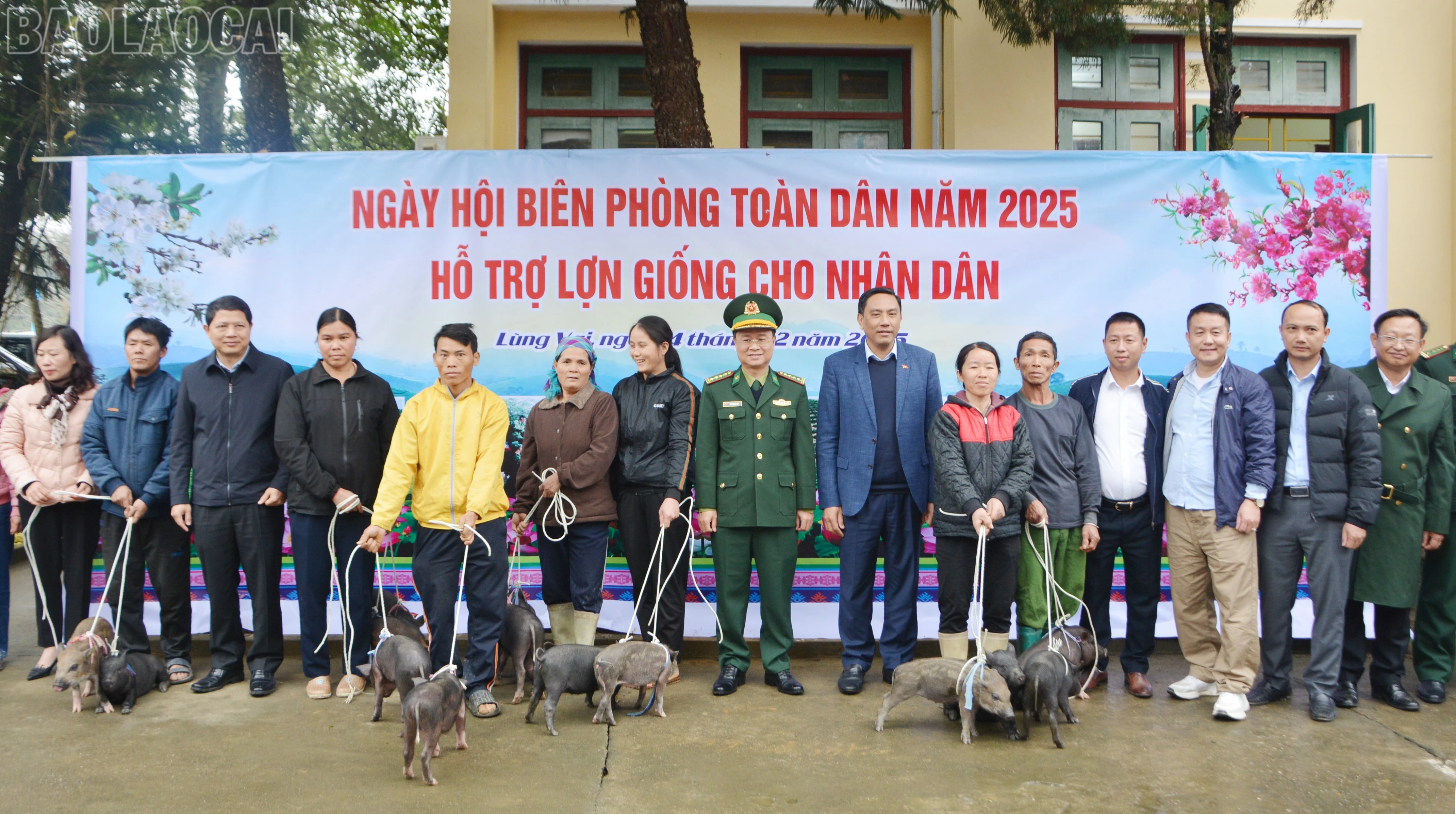 baolaocai-tl_dsc-4924.jpg