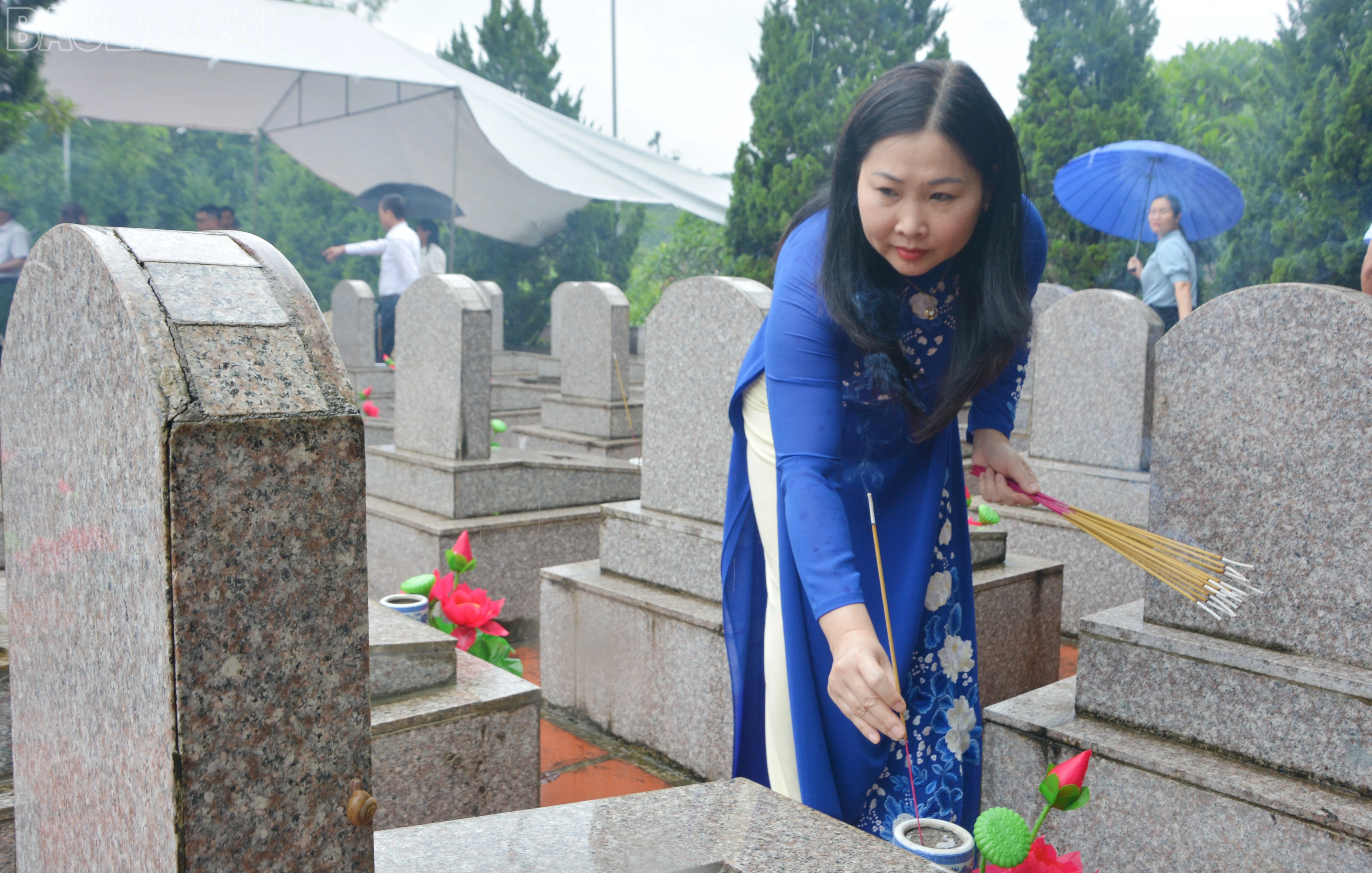 baolaocai-tl_dsc-7778.jpg