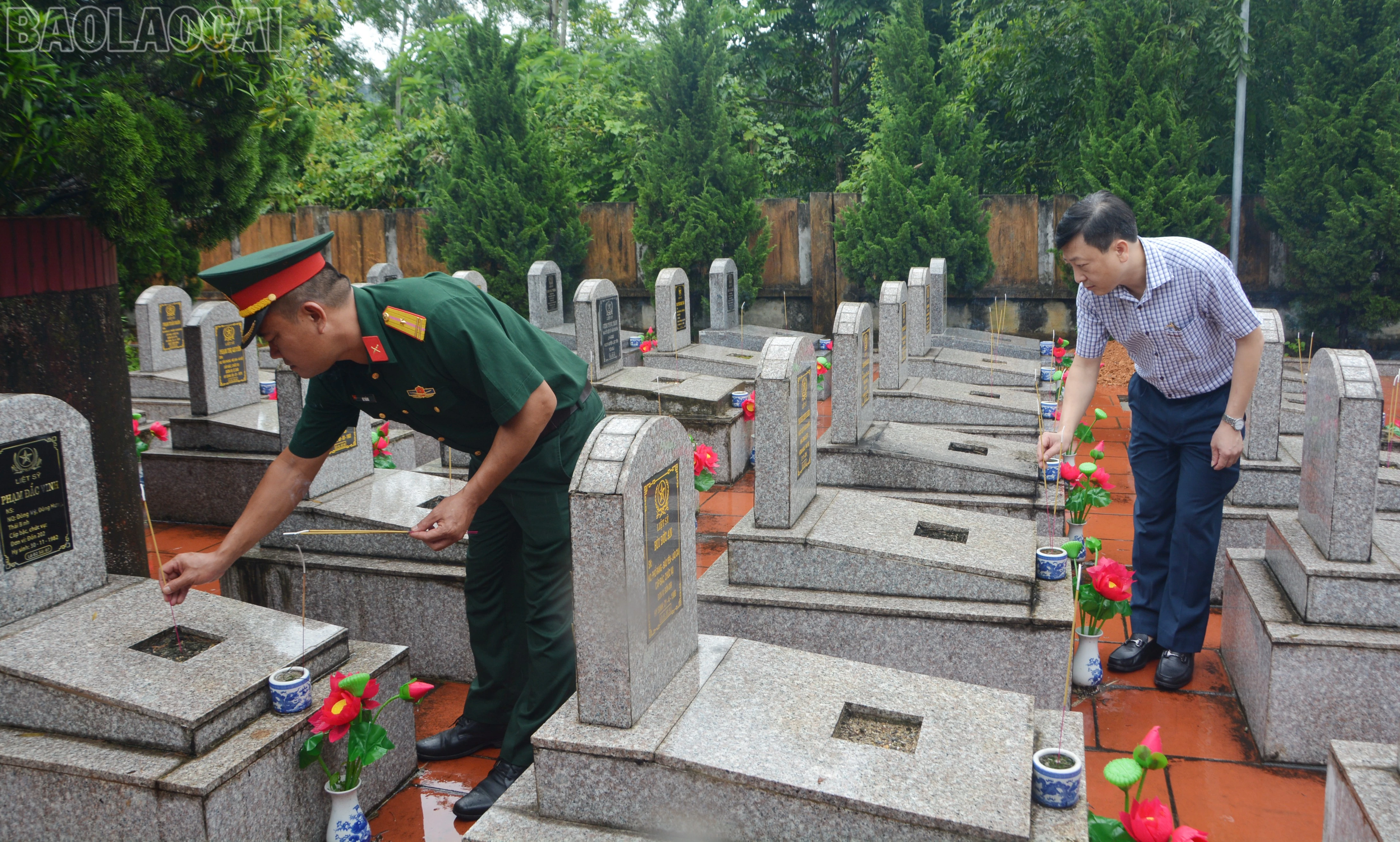 baolaocai-tl_dsc-7783.jpg