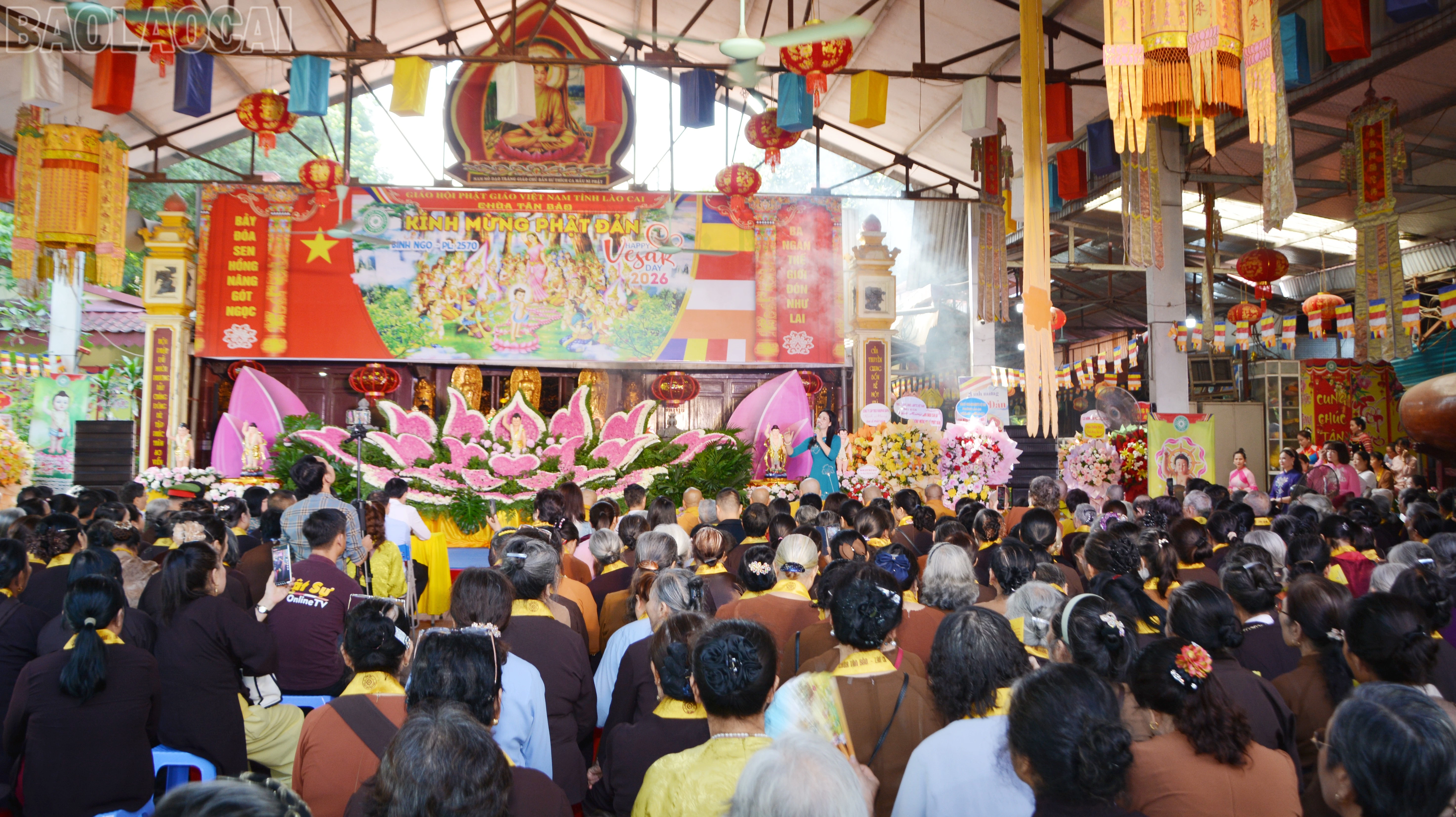 baolaocai-tl_dsc-2780.jpg