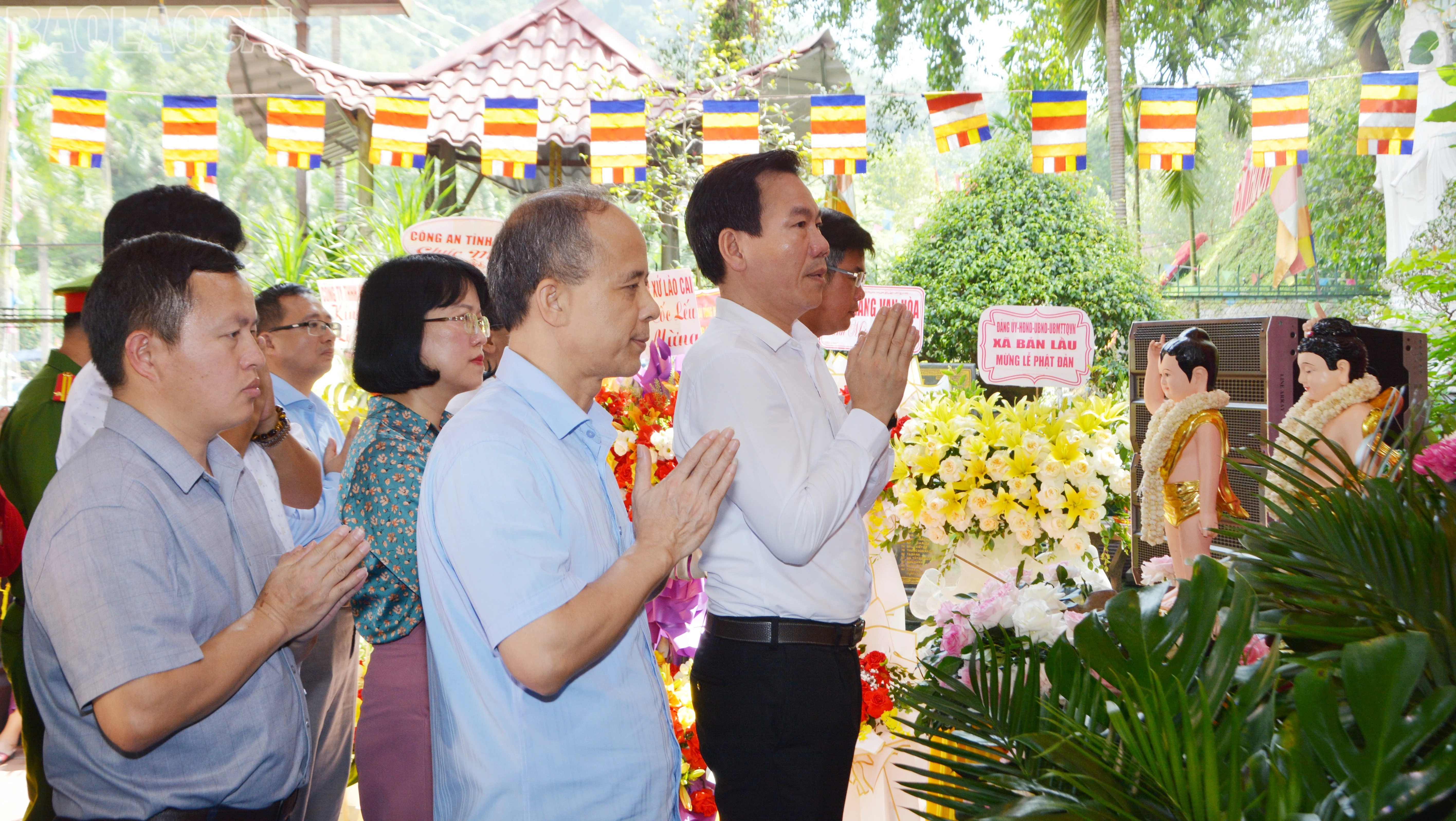 baolaocai-tl_dsc-2837.jpg