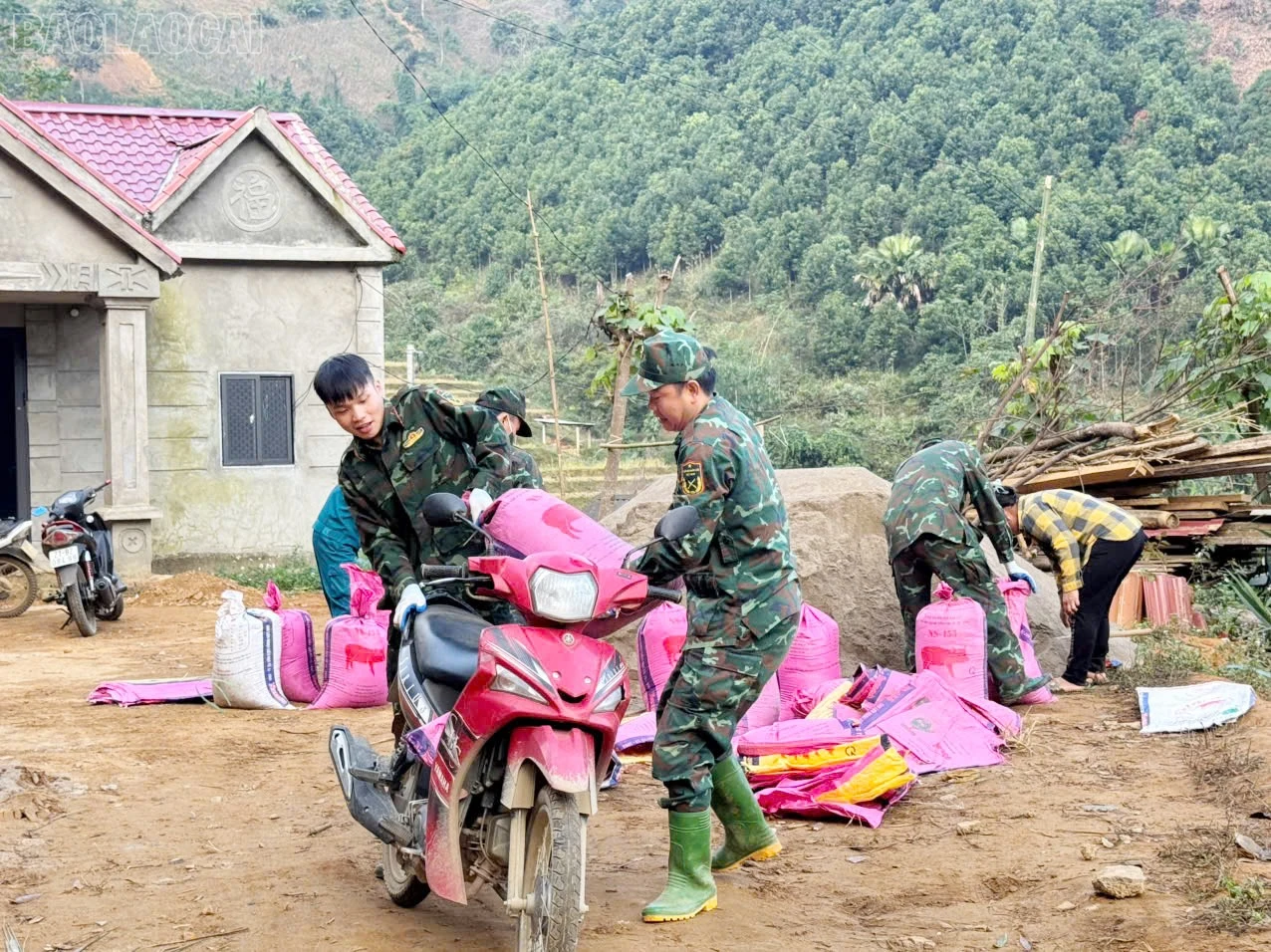 baolaocai-tl_z7360258786341-a027a84a892874d57a59e913e3dbe813.jpg