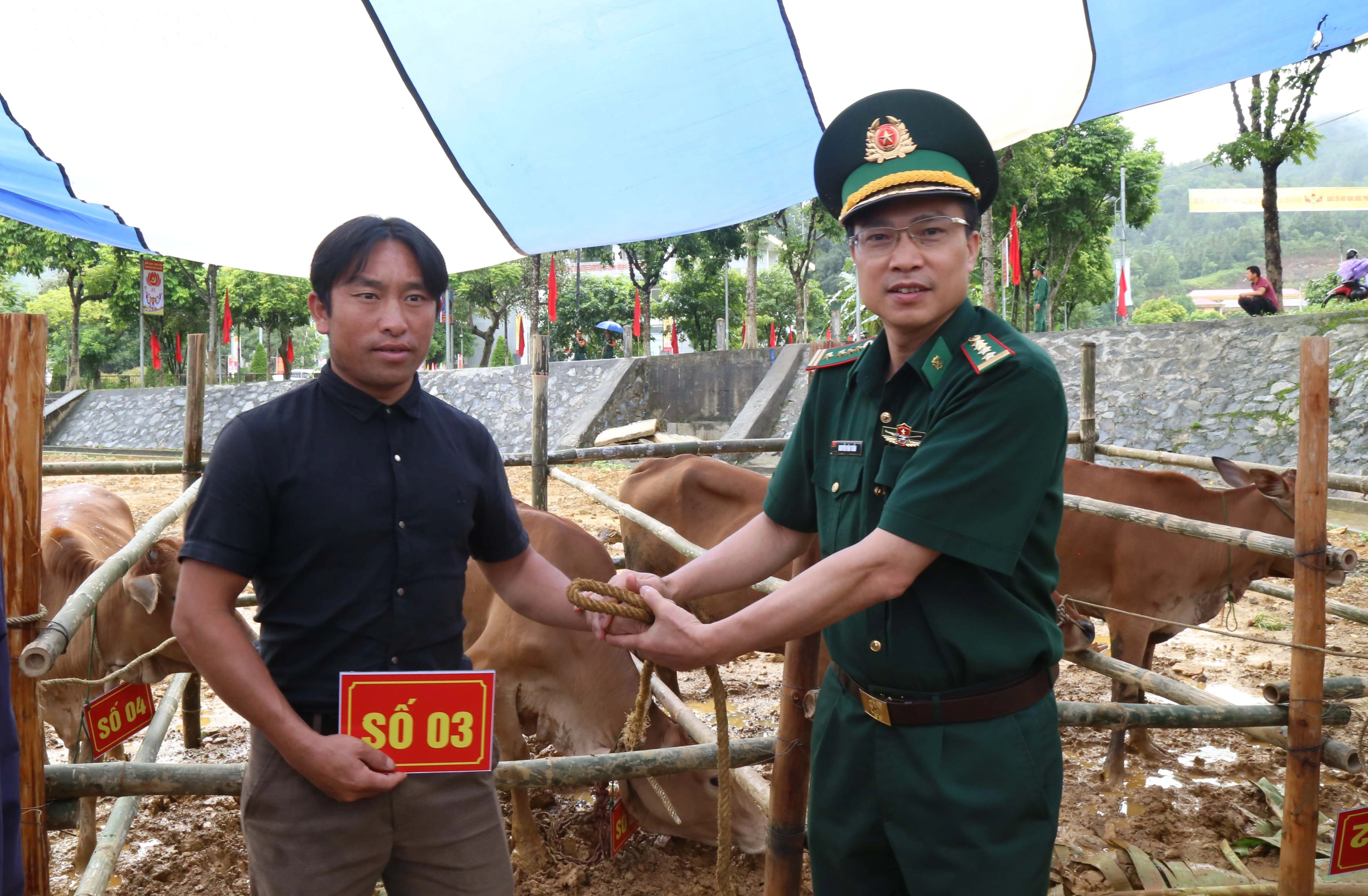 baolaocai-tl_img-6419.jpg