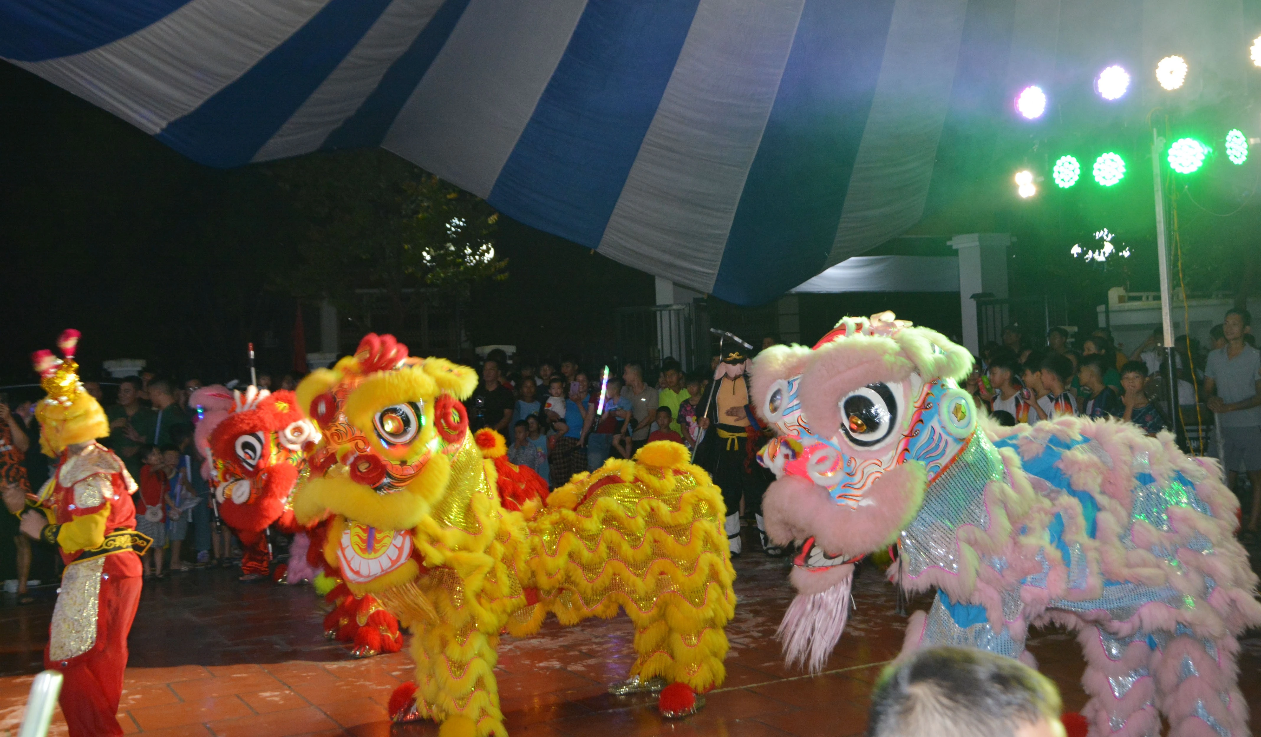 dsc-8737.jpg