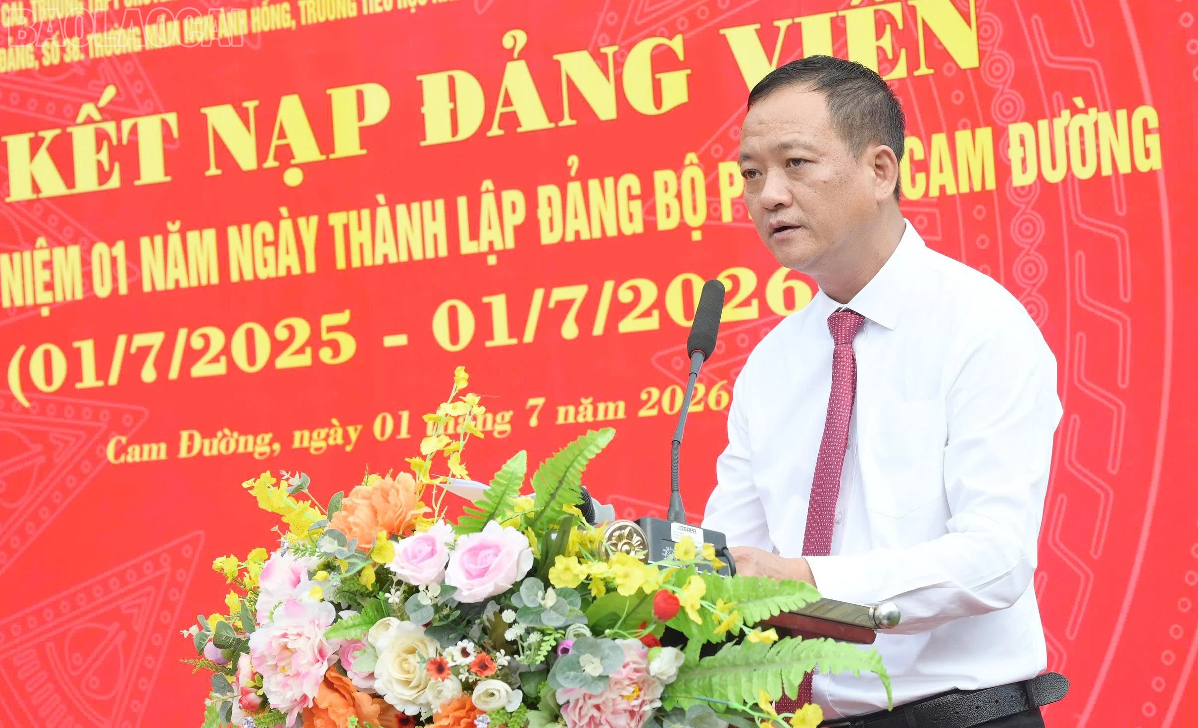baolaocai-tl_gen-h-z7996593103570-c5f7189b32fbca60050e2a79567d4863.jpg