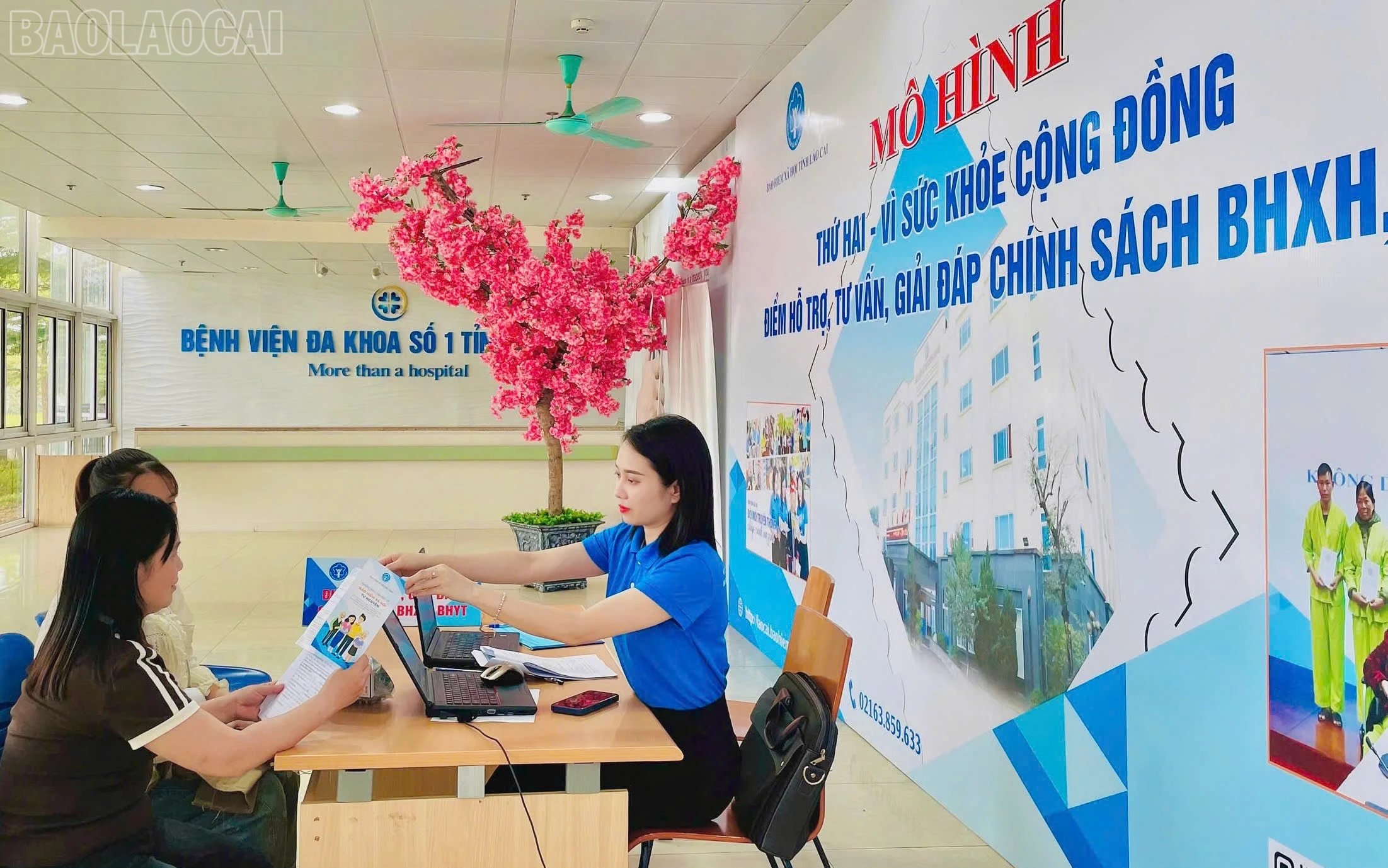baolaocai-tl_z7696934470747-fe29406fe8880c556faaeaf4dcebf4e6.jpg