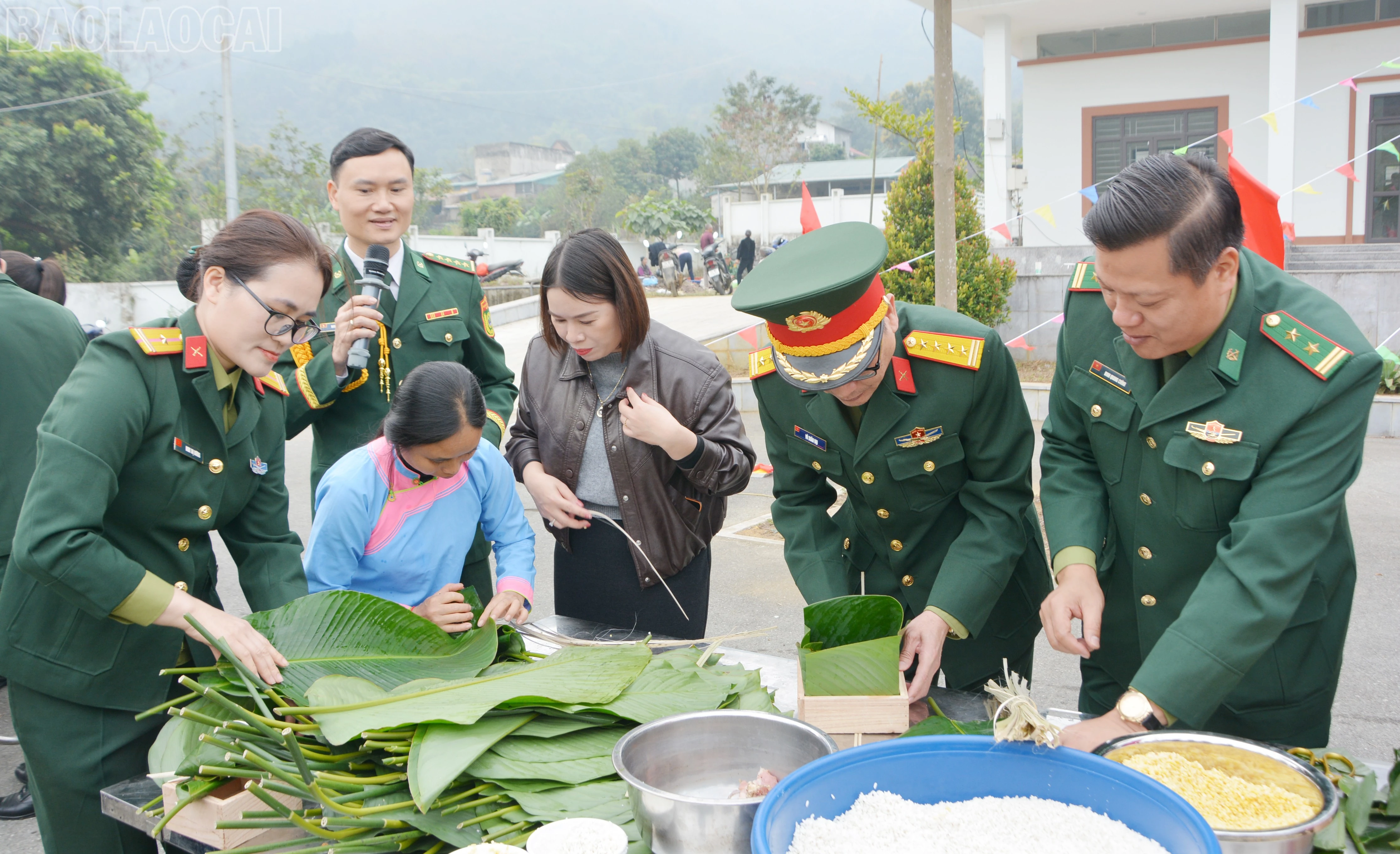 baolaocai-tl_dsc-1080.jpg