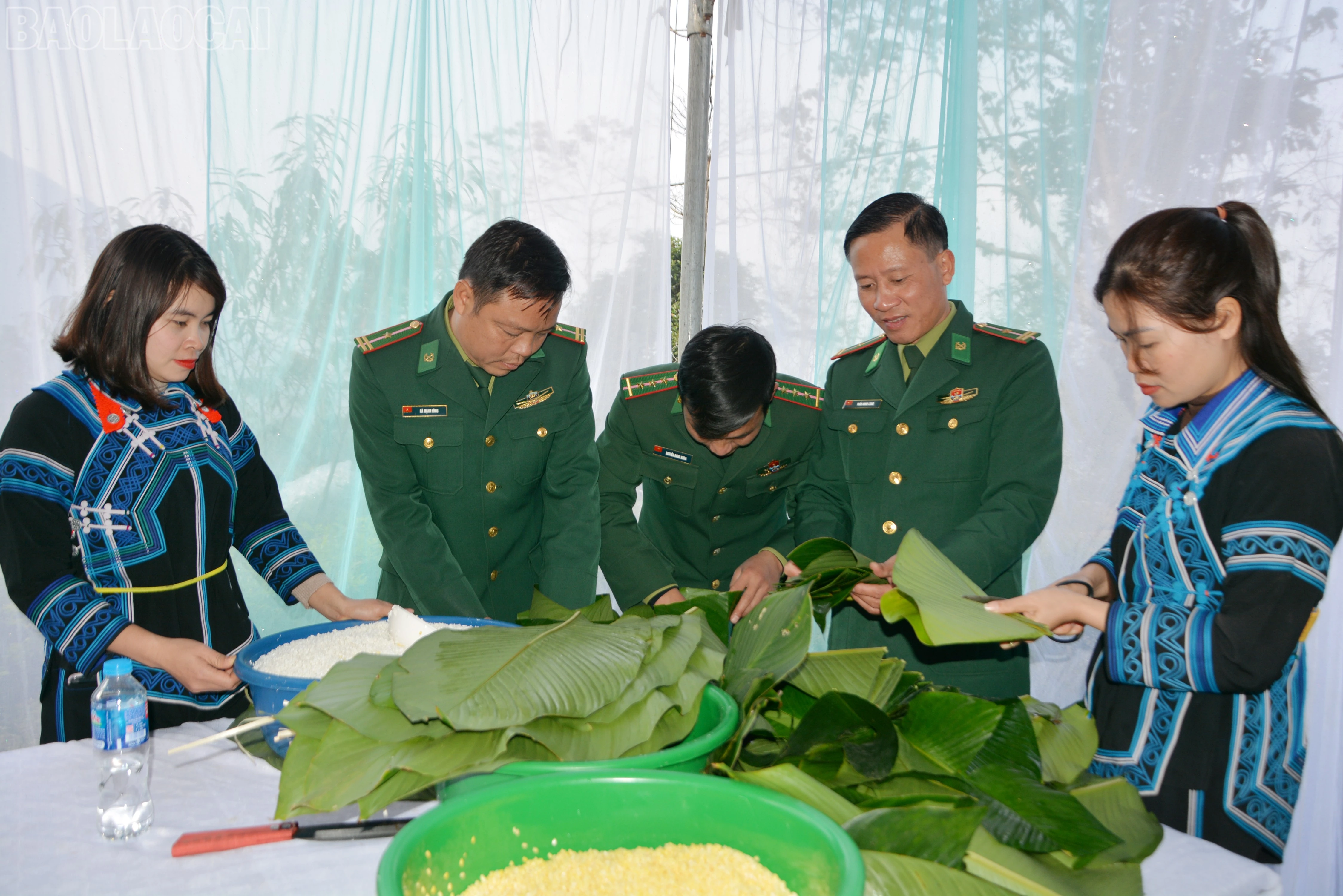baolaocai-tl_dsc-3125.jpg
