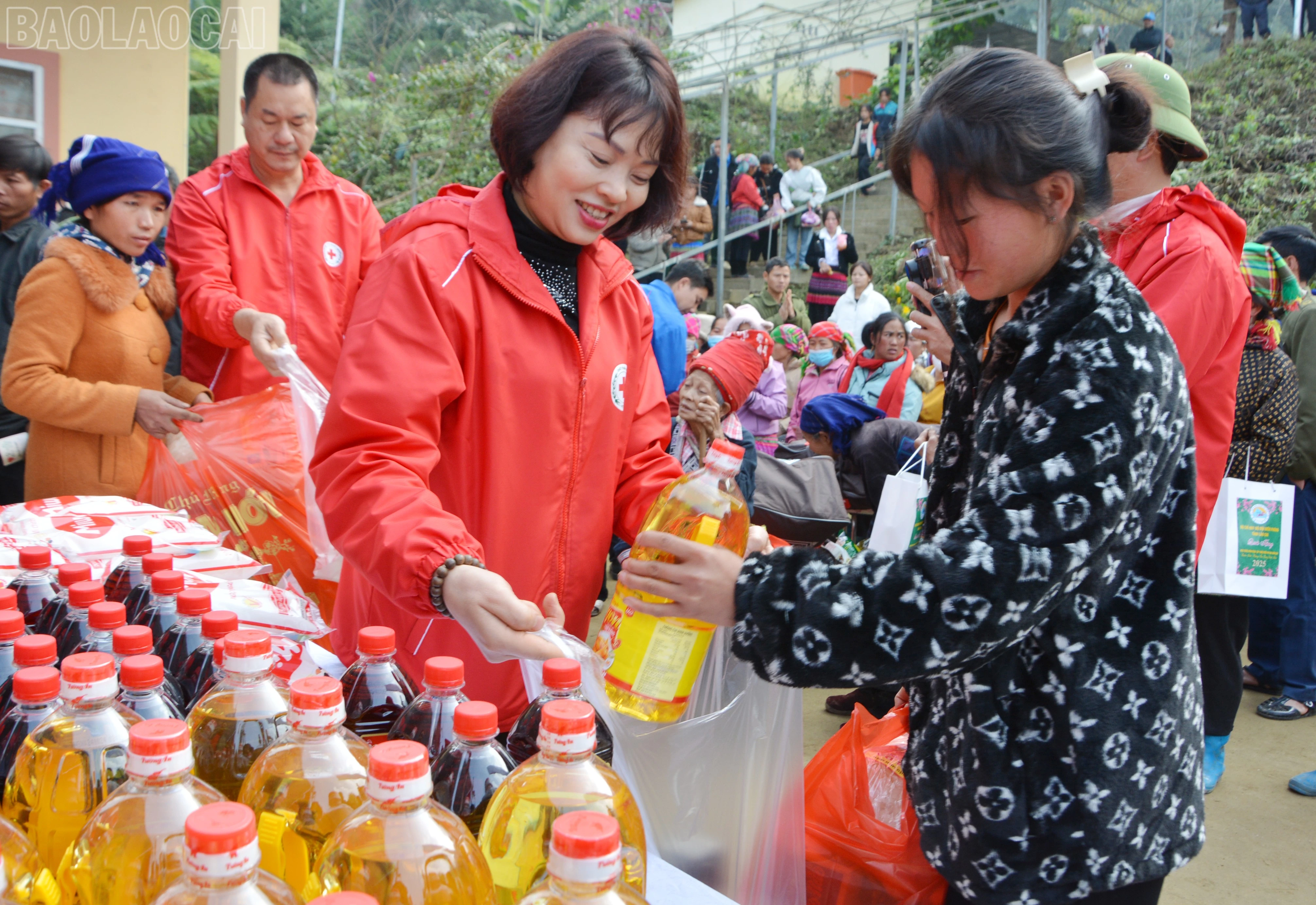 baolaocai-tl_dsc-3165.jpg