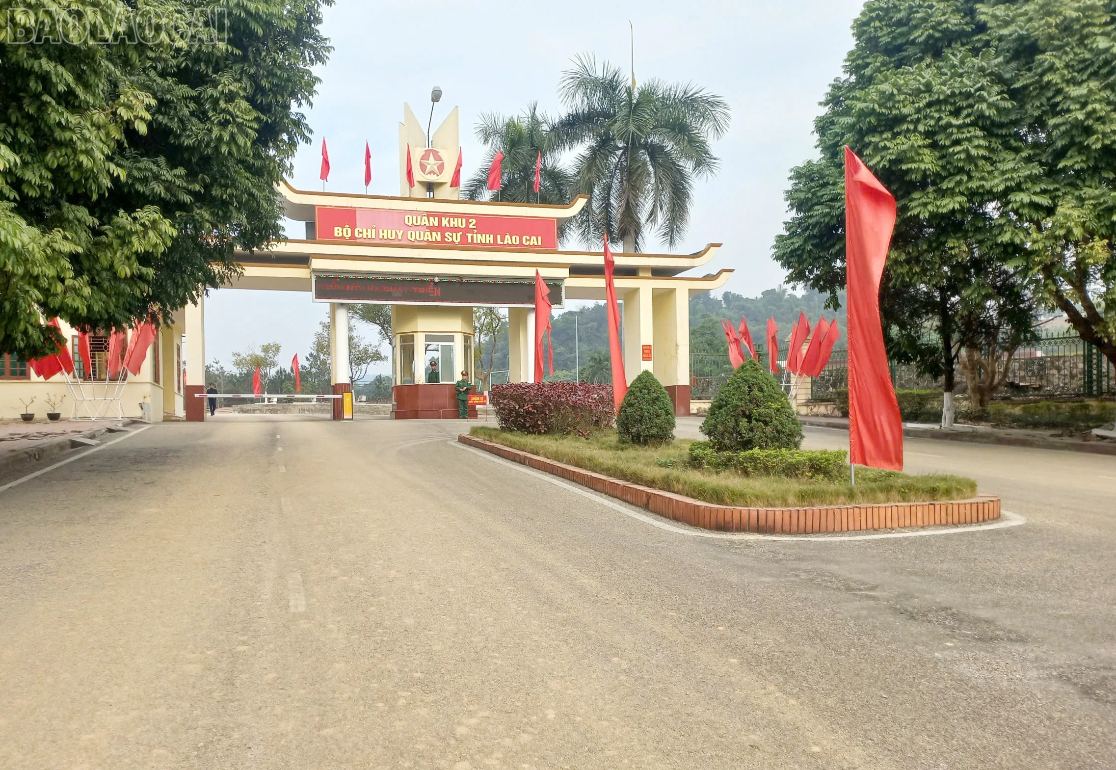 baolaocai-tl_z6261492749591-7ce0a408ebc0d9029aa3697695d70e44.jpg