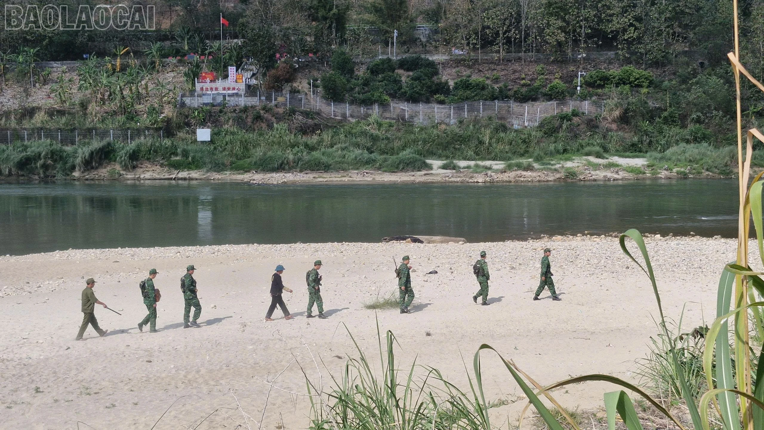 baolaocai-tl_gen-h-z7573046177890-cc749c68d158a4e796fd70f87c826d34.jpg