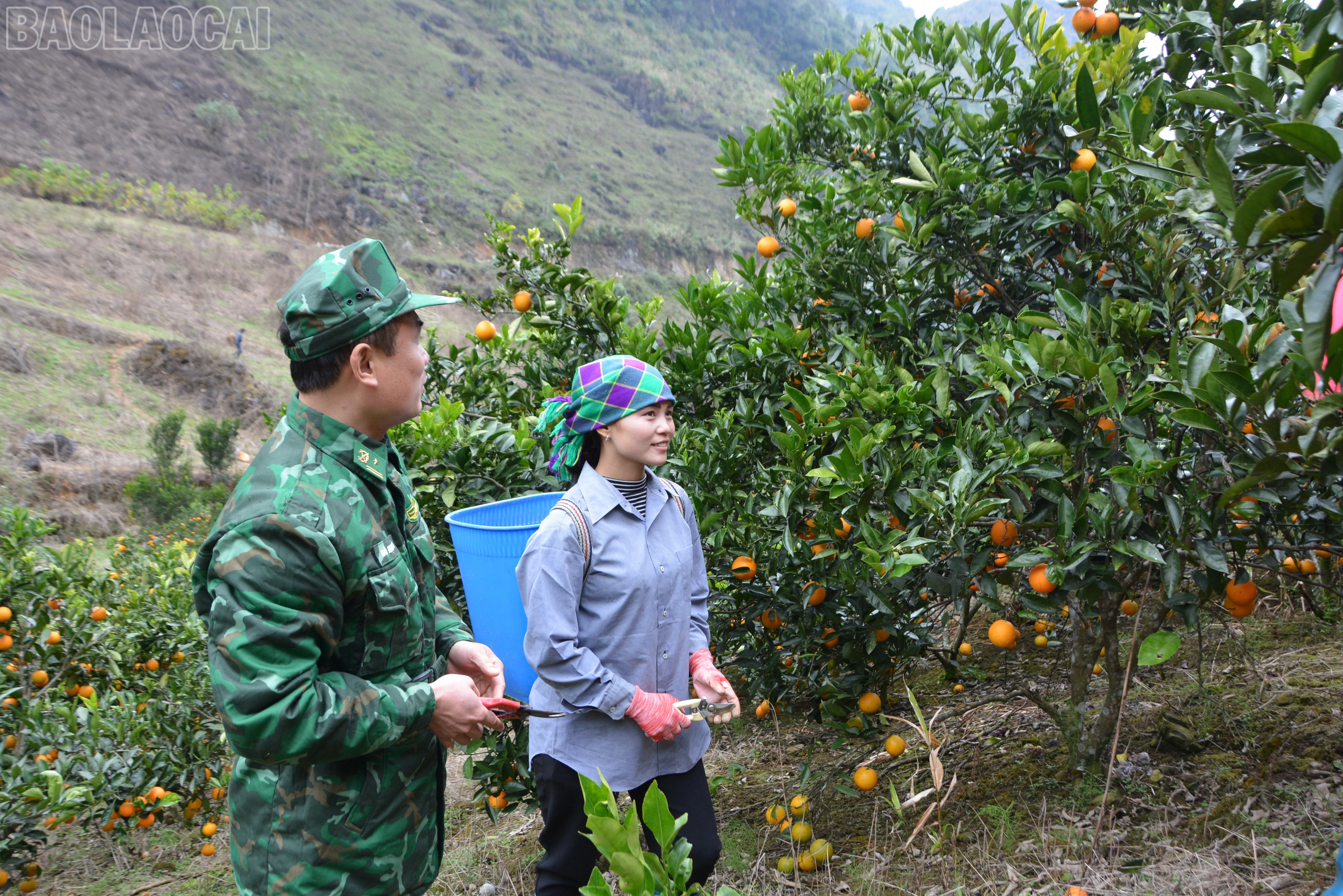 baolaocai-tl_dsc-1712.jpg
