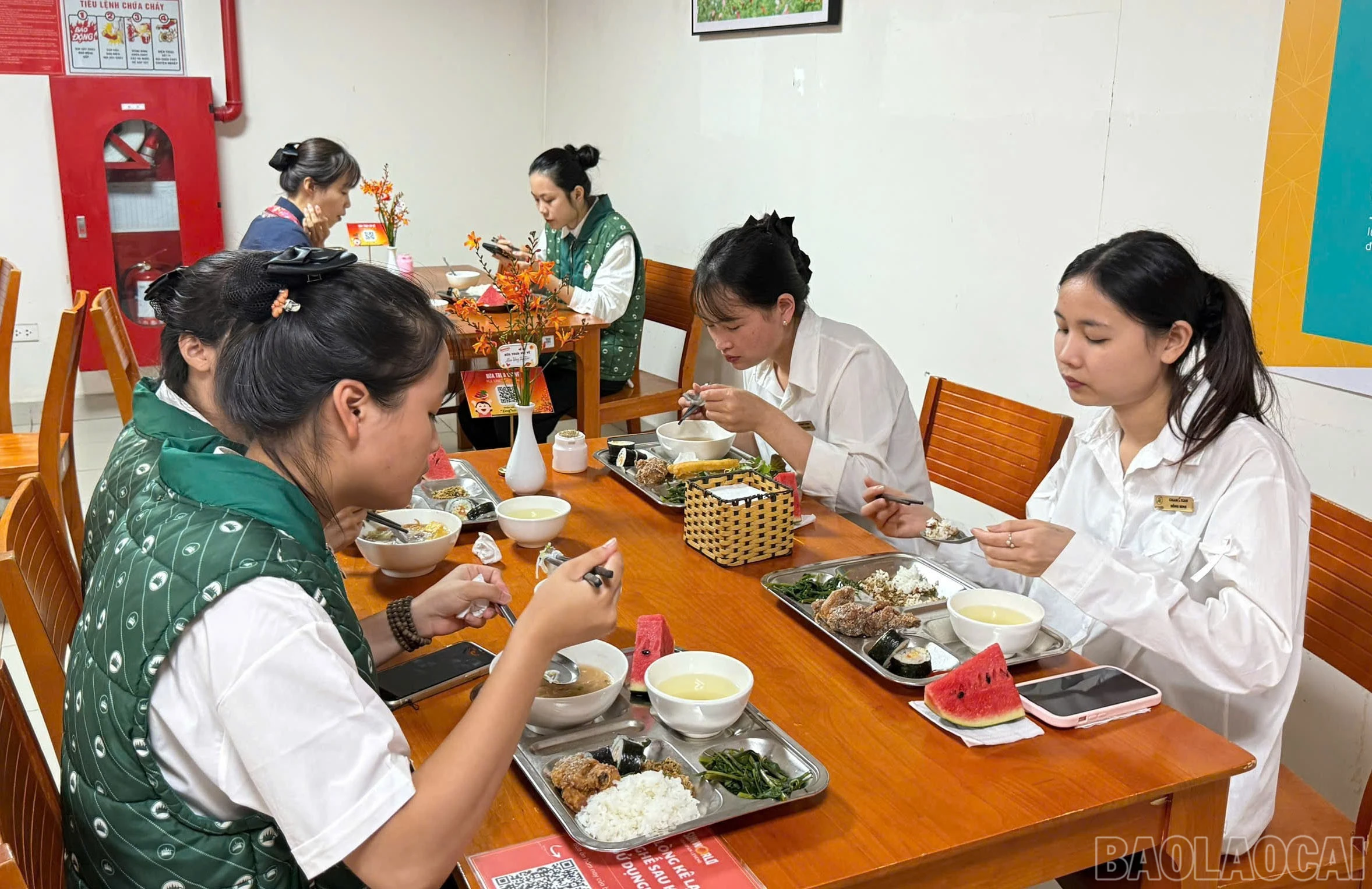 baolaocai-br_z6946935983982-9a1cbe1e9e281a42abebf4123c4b51ba.jpg