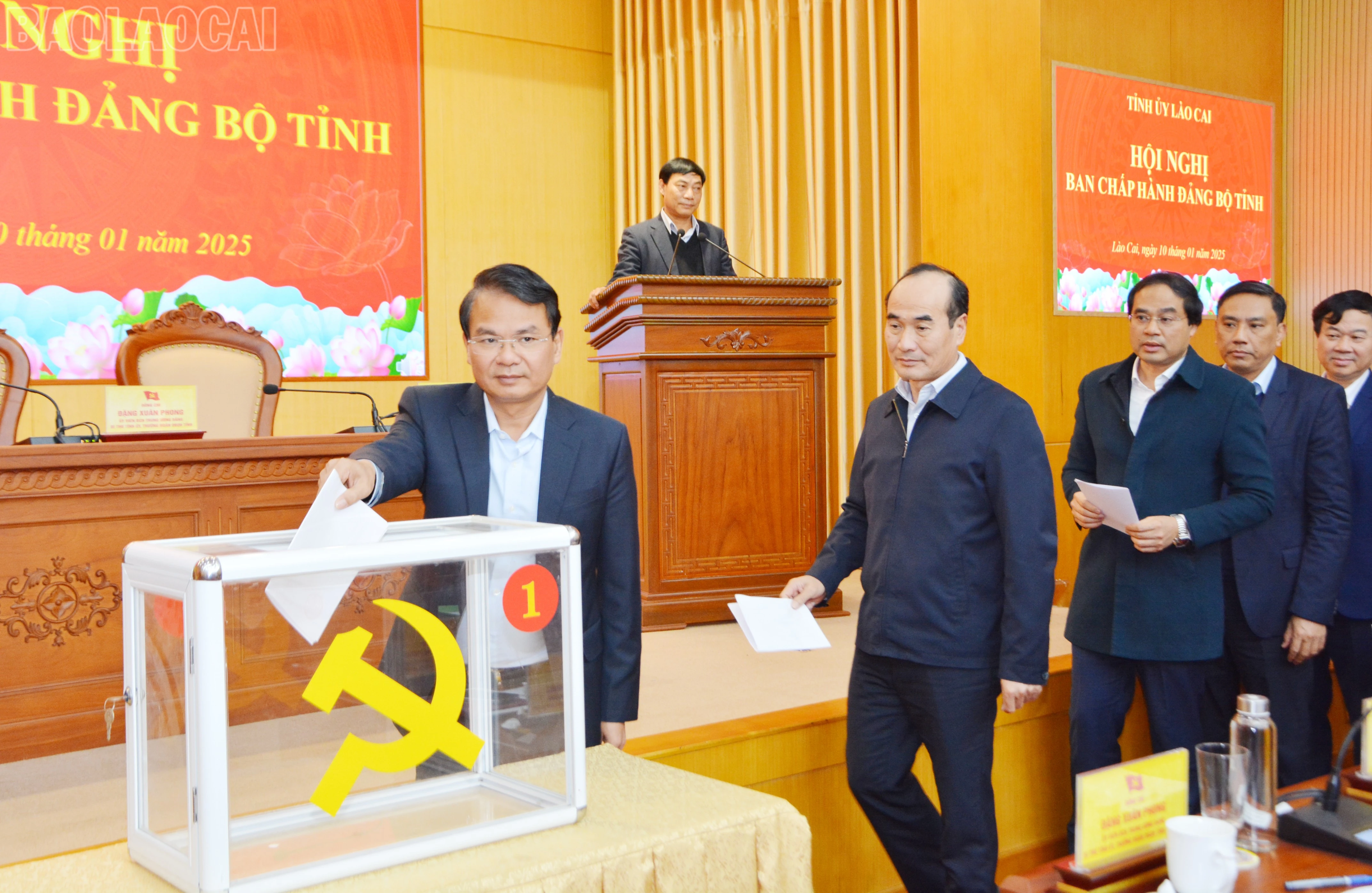 baolaocai-tl_dsc-3765.jpg
