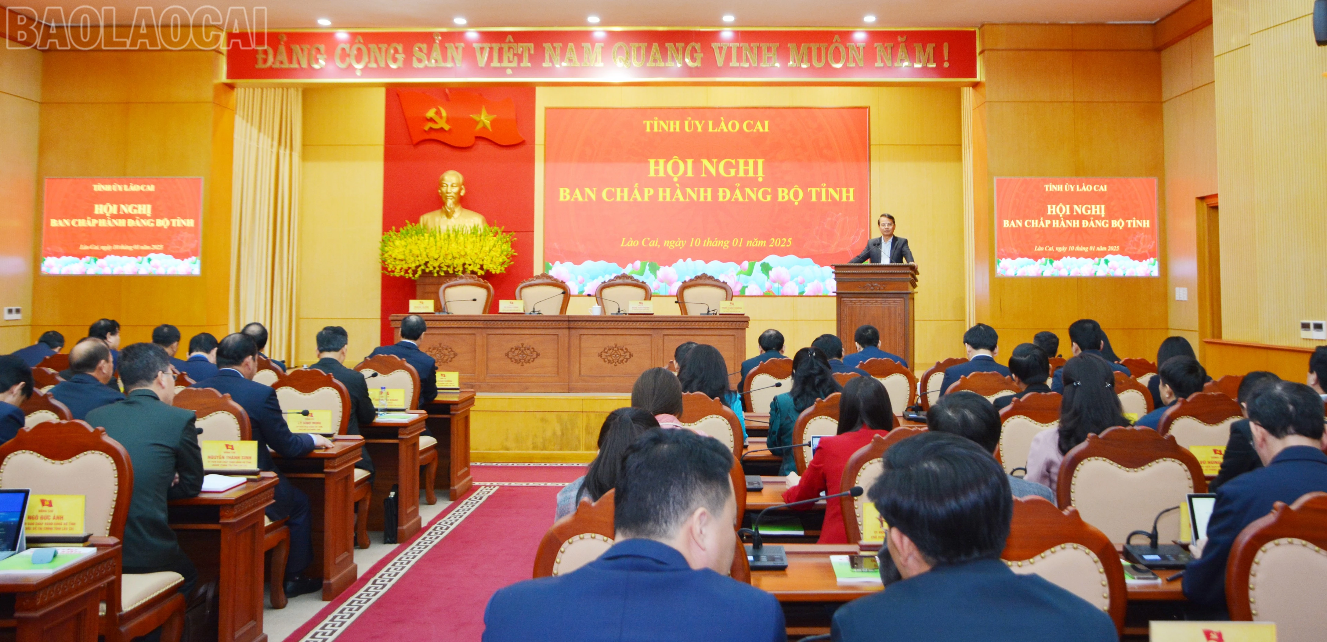 baolaocai-tl_dsc-3739.jpg