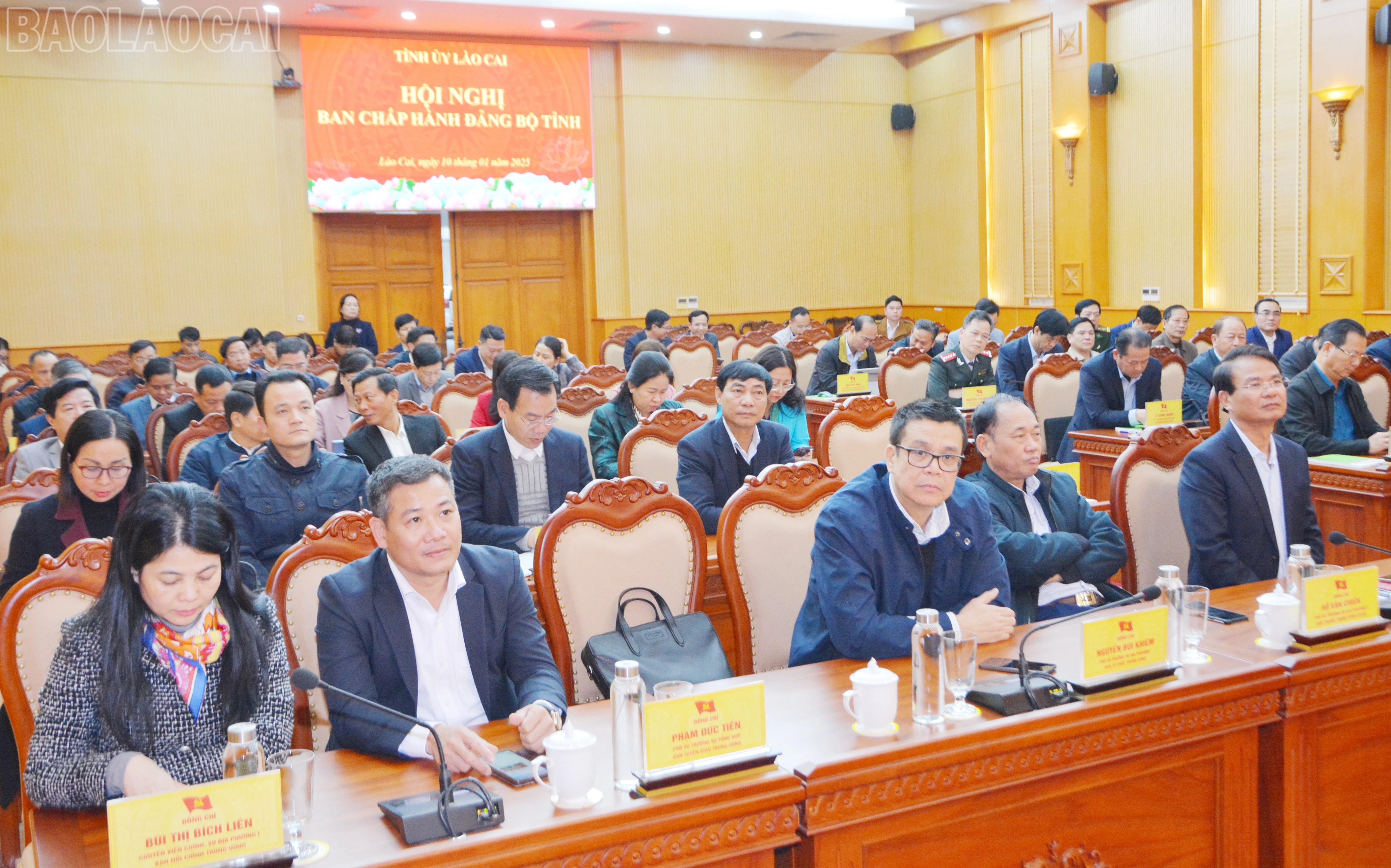 baolaocai-tl_dsc-3759.jpg