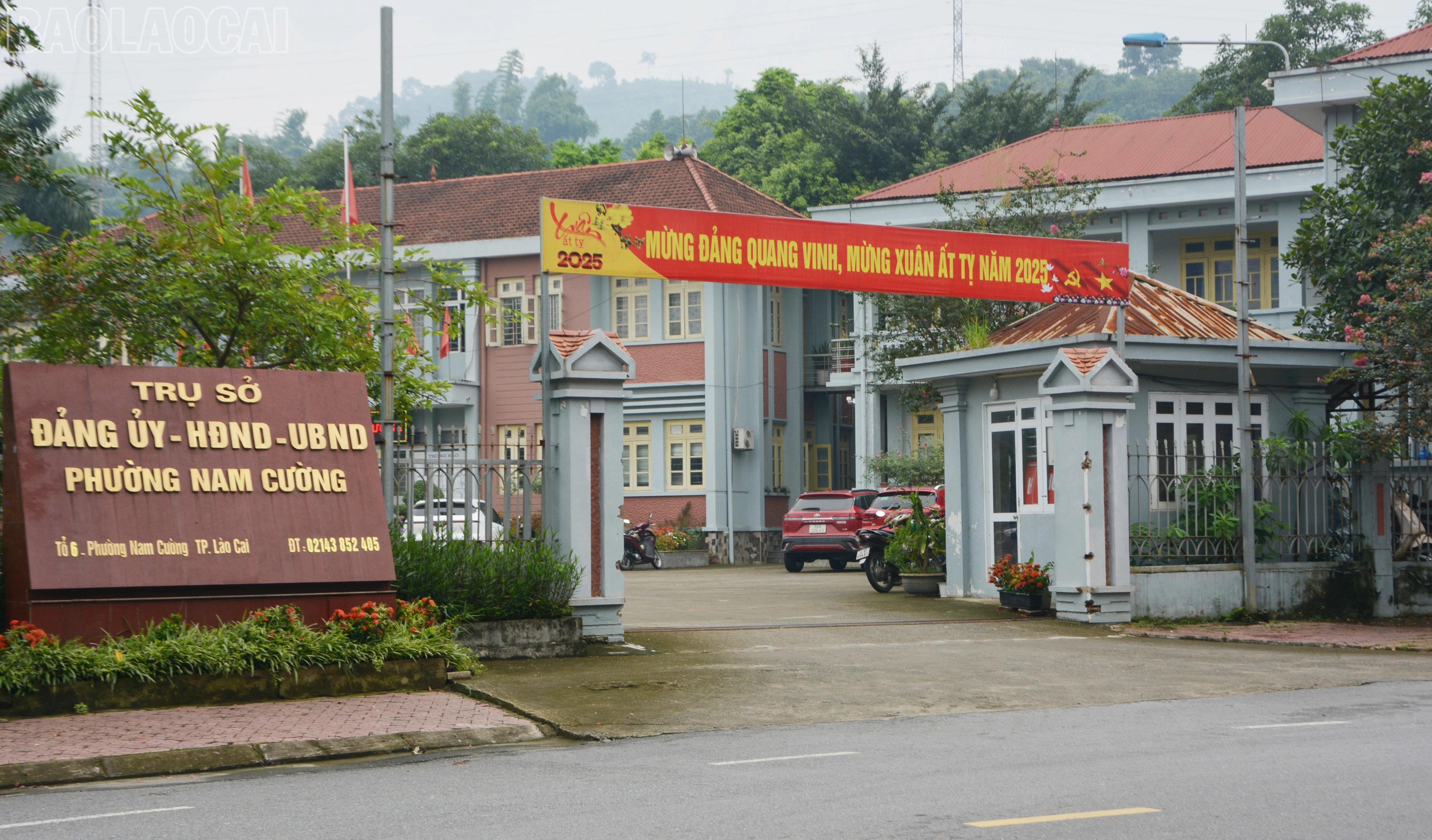 baolaocai-tl_dsc-7199.jpg