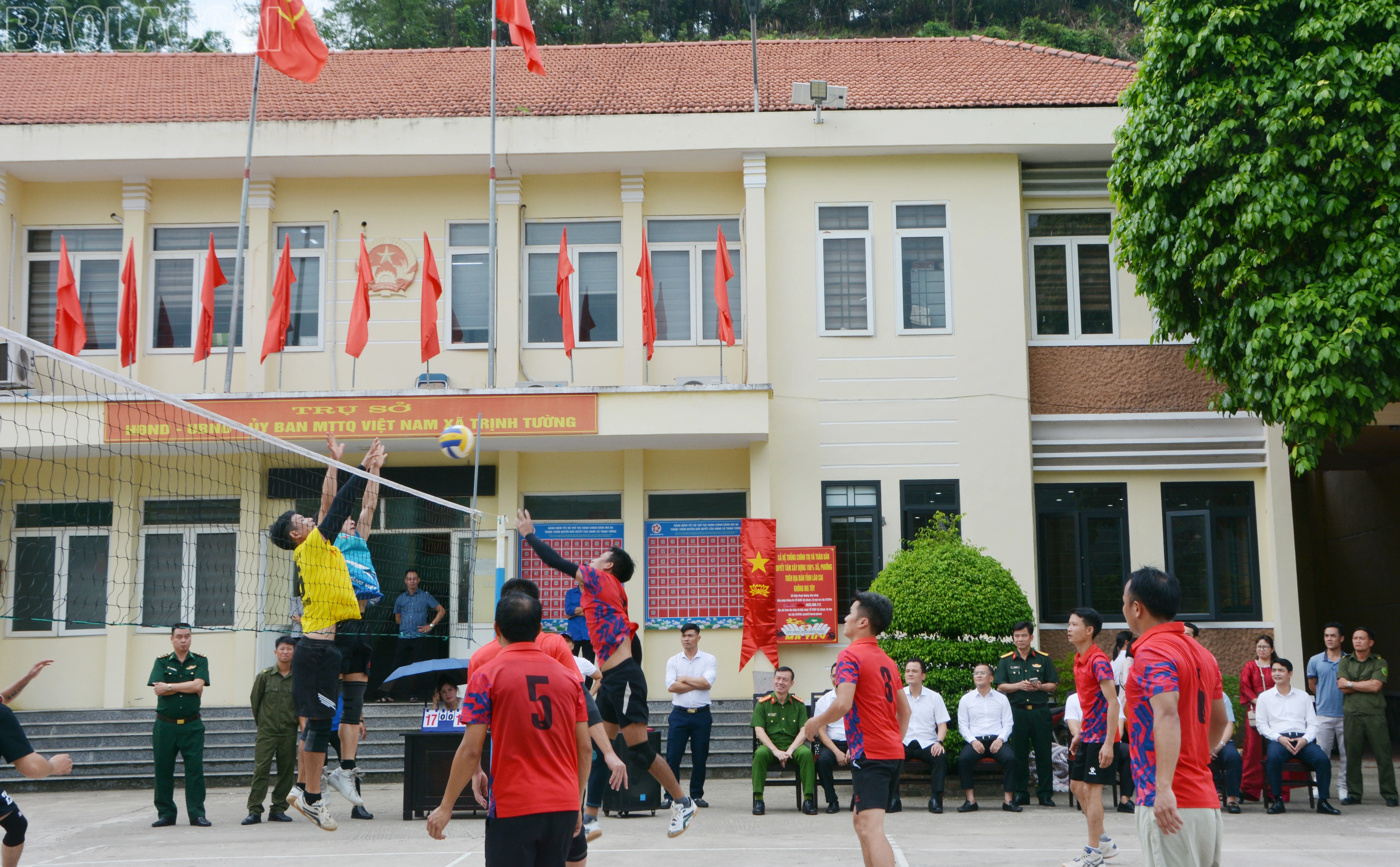 baolaocai-tl_dsc-3842.jpg