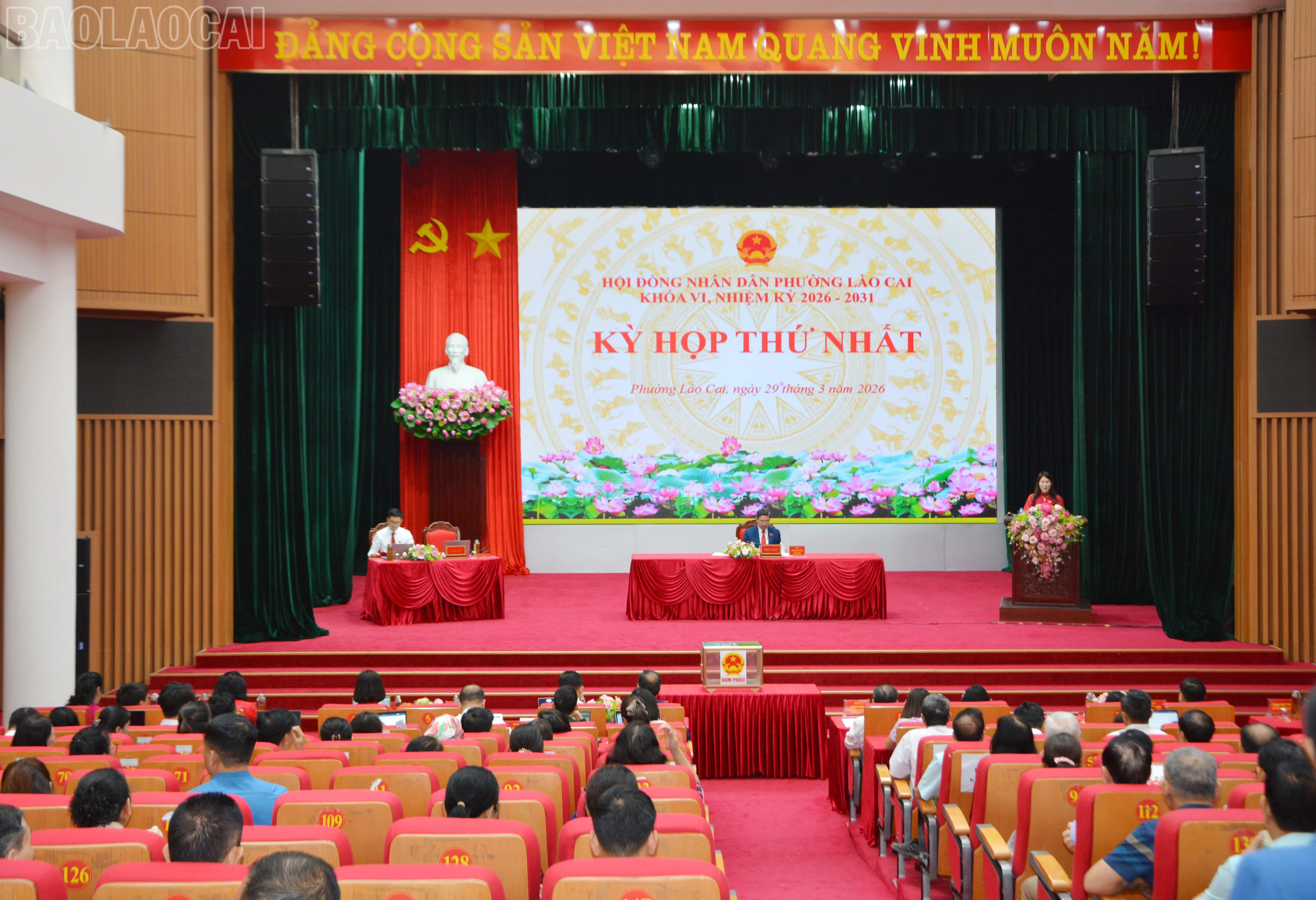 baolaocai-tl_dsc-2305.jpg