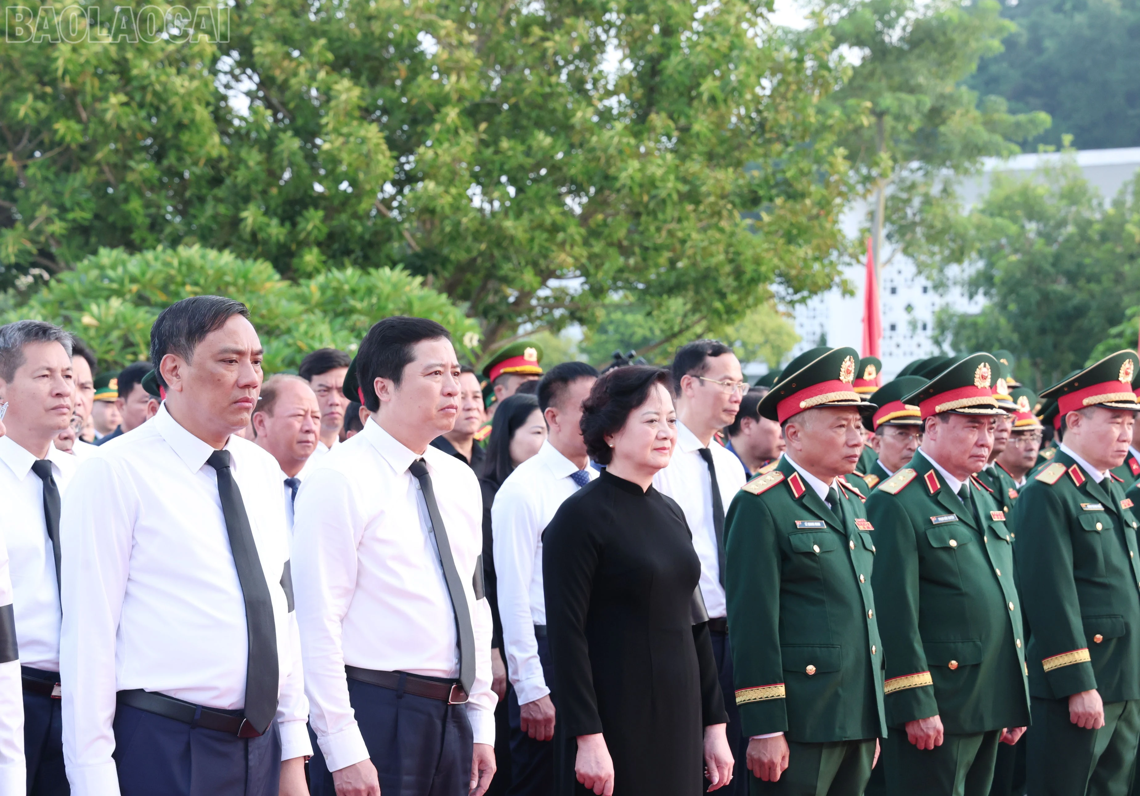 baolaocai-tl_img-1577.jpg