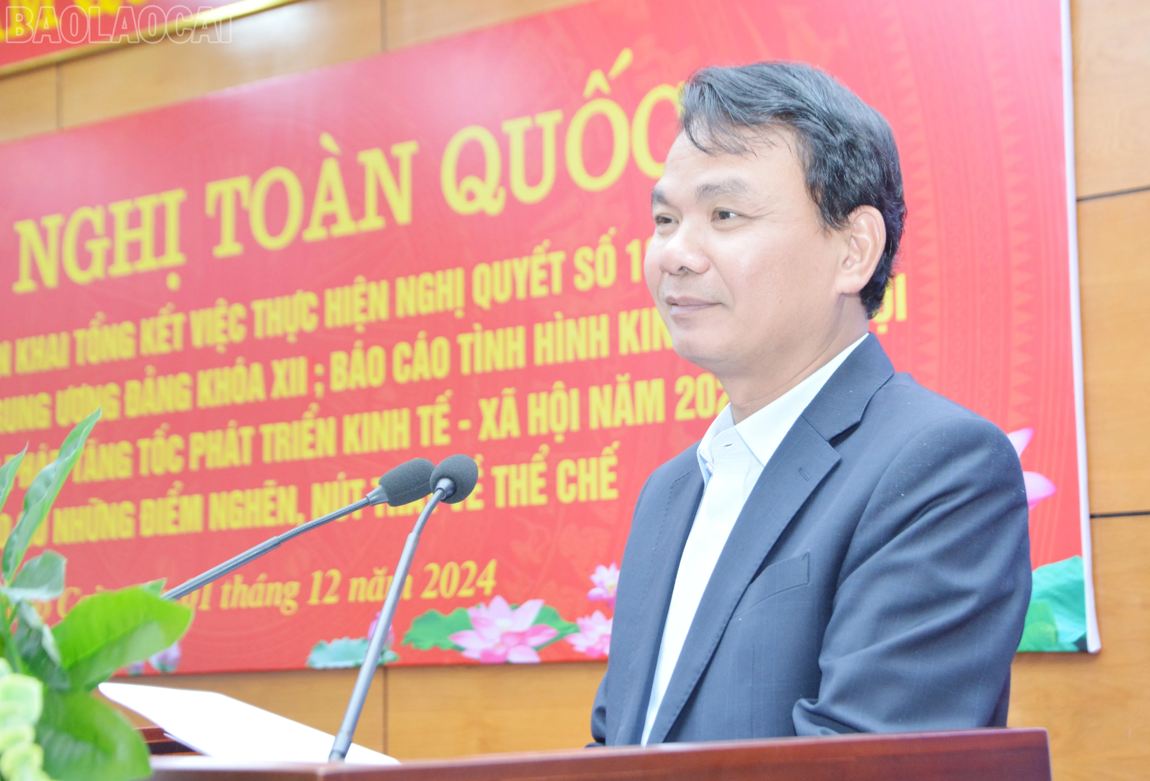 baolaocai-tl_dsc-1284.jpg