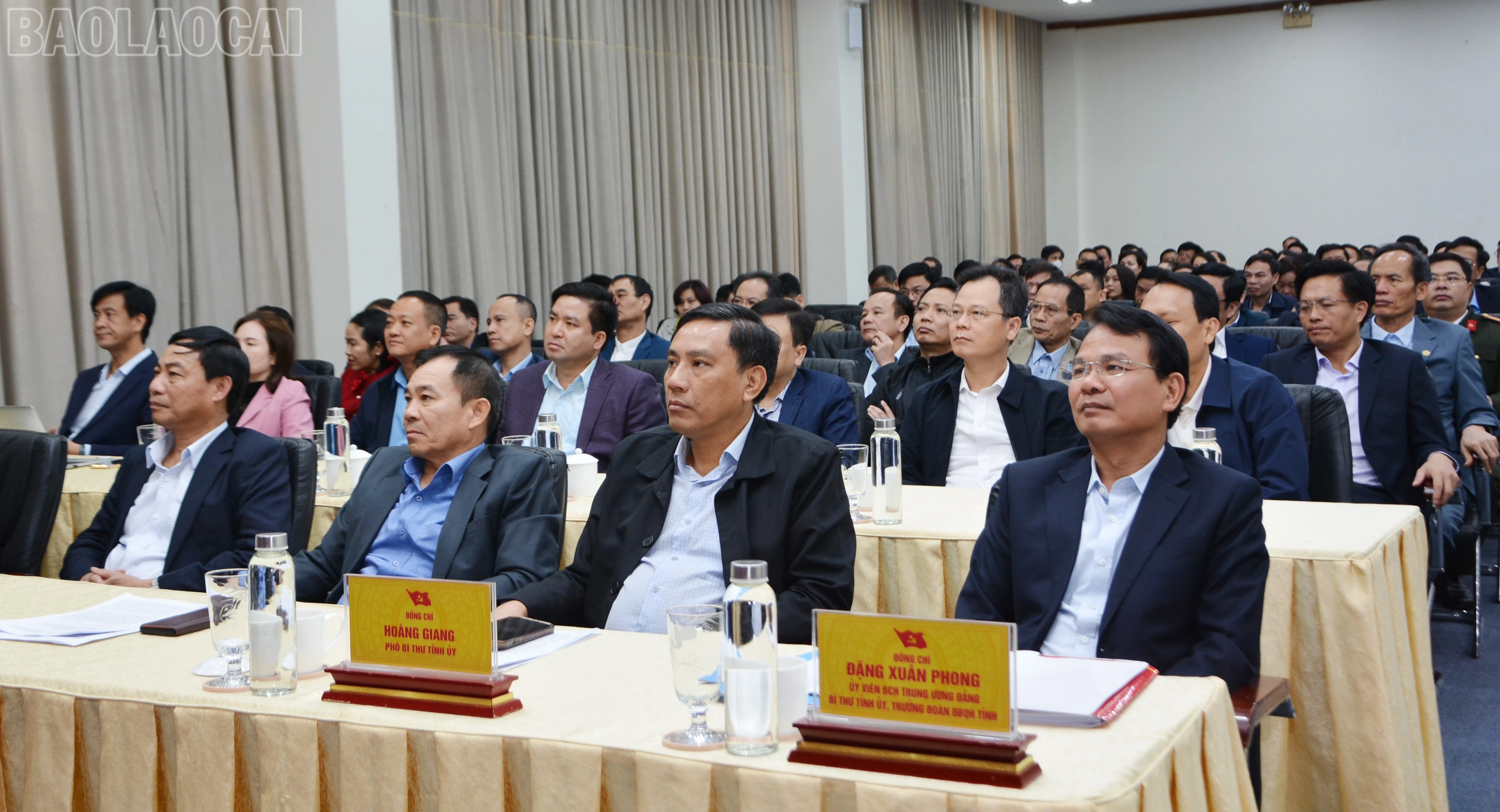 baolaocai-tl_dsc-1238.jpg