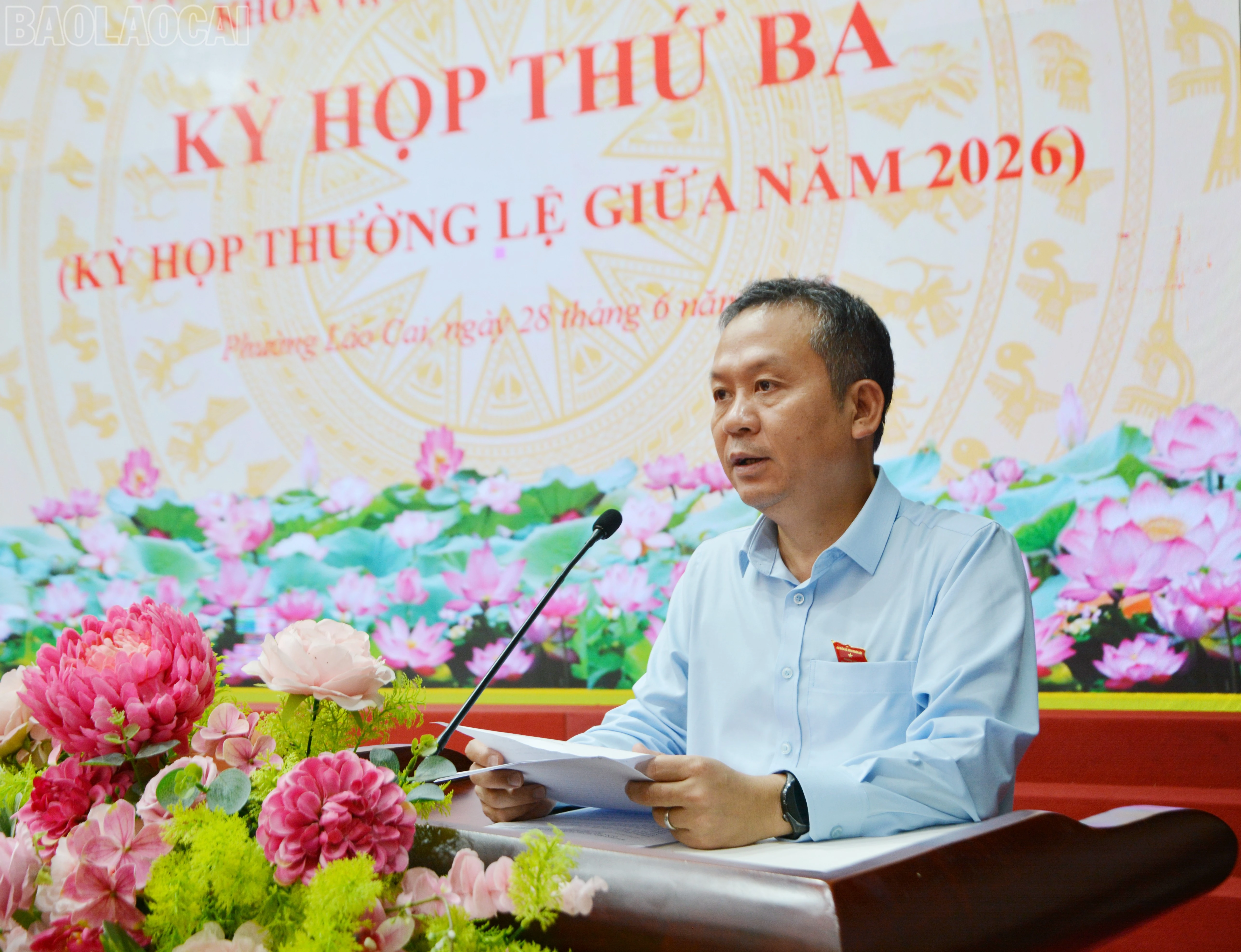 baolaocai-tl_dsc-3110.jpg