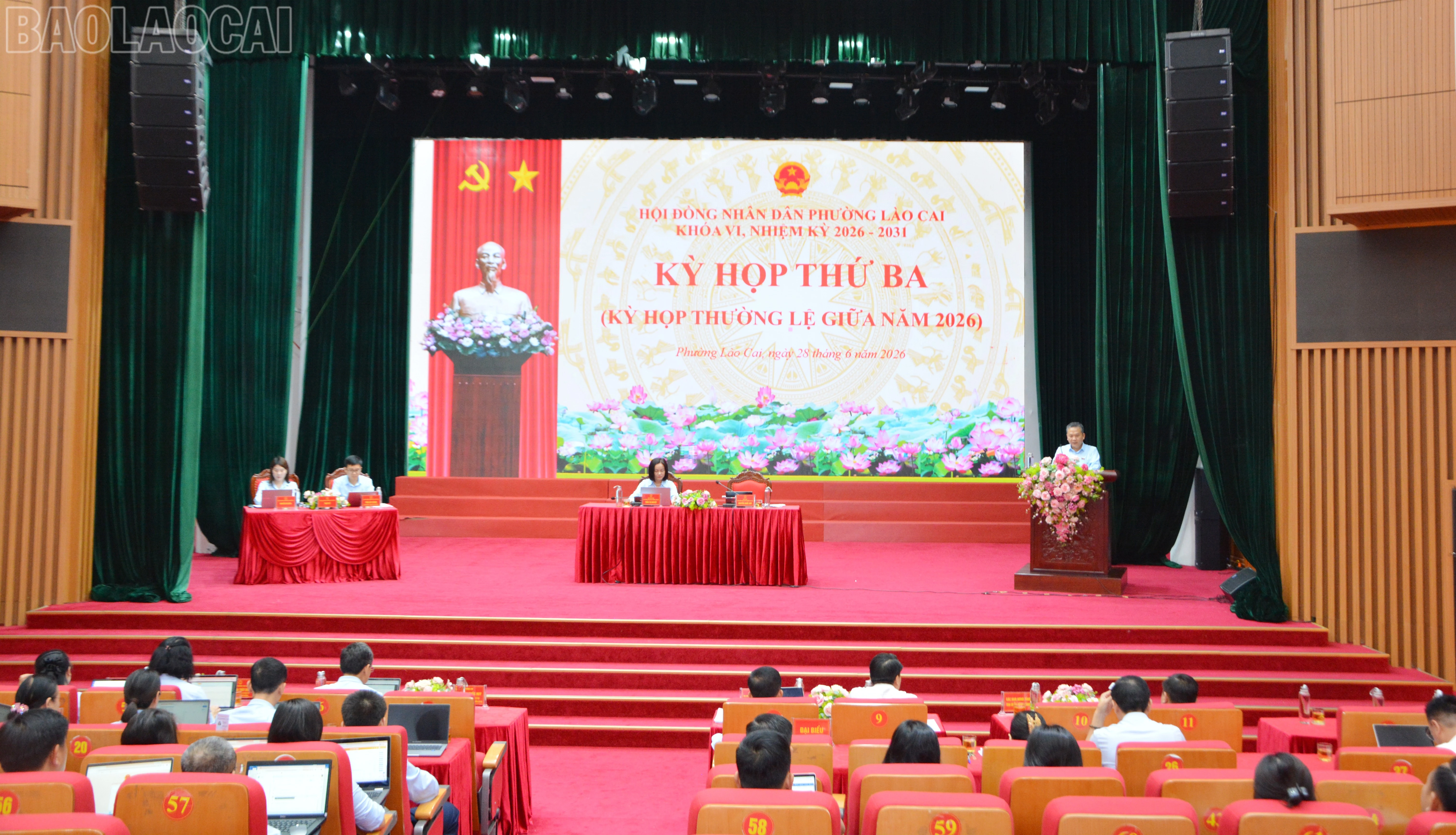 baolaocai-tl_dsc-3116.jpg