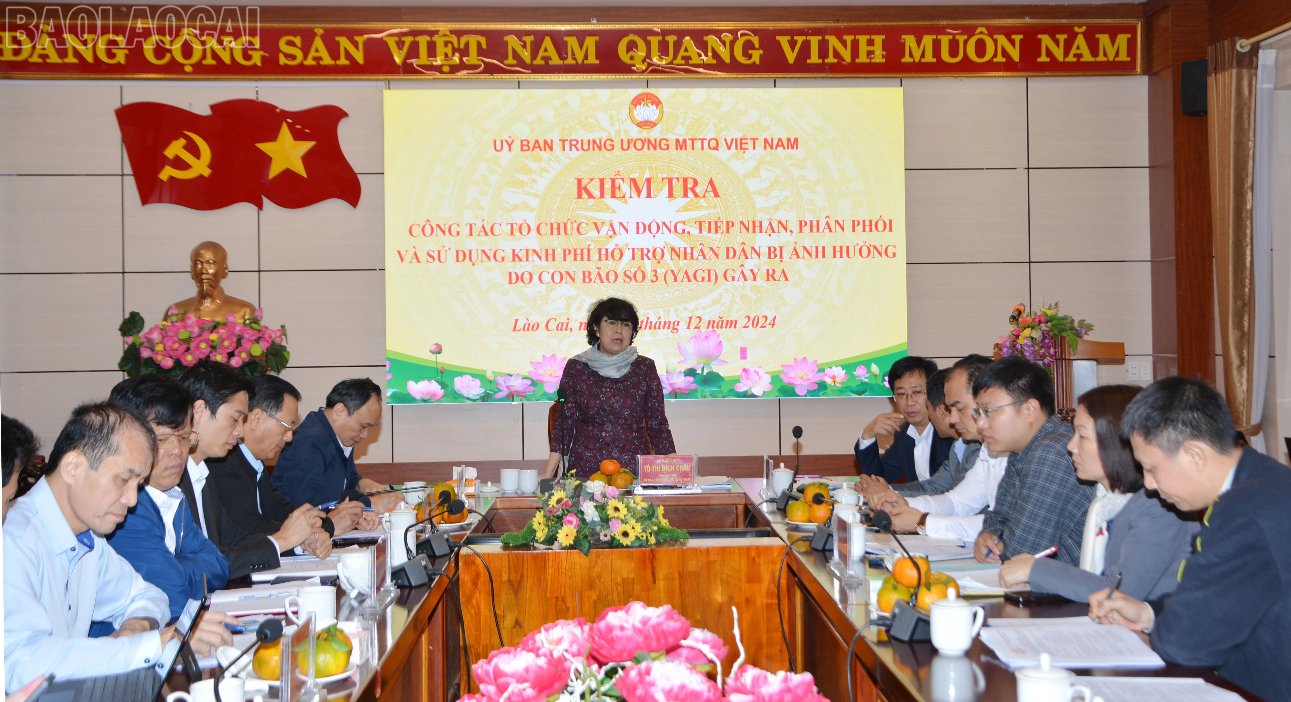 baolaocai-tl_dsc-1480.jpg