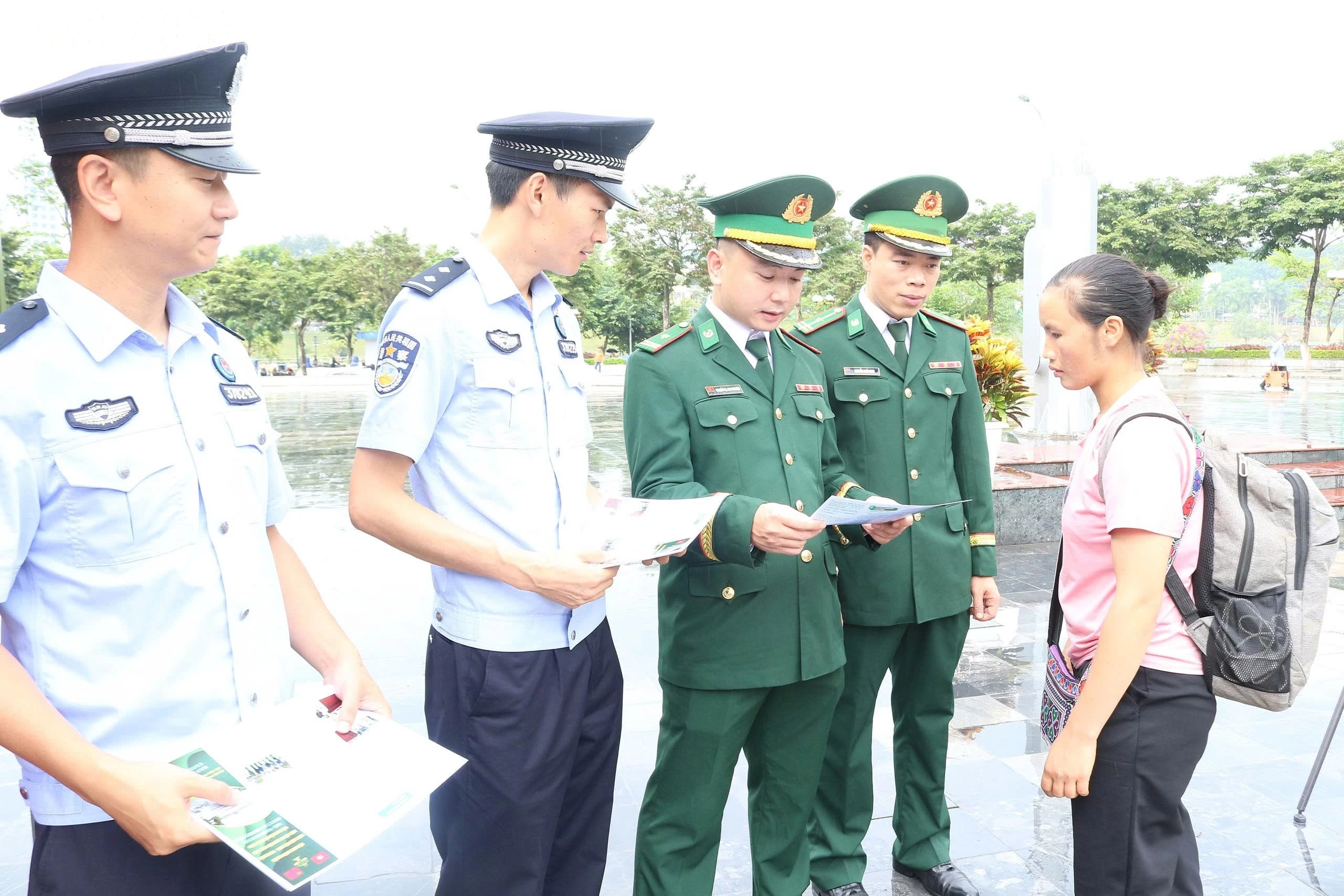 baolaocai-tl_z6957373006049-bcc51034cf948a53d6d2c6cba9d6c2bc.jpg