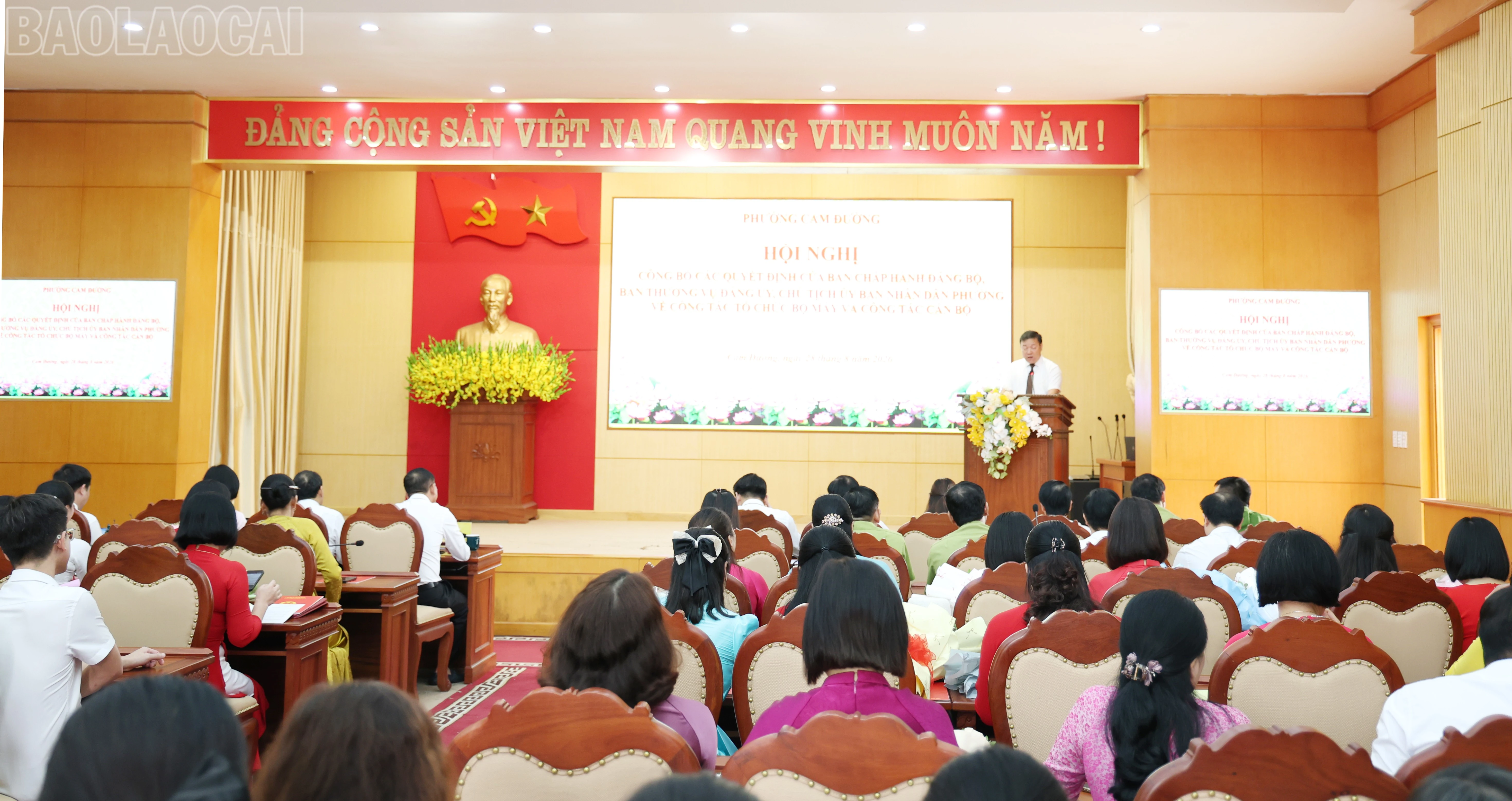 baolaocai-tl_img-6993.jpg