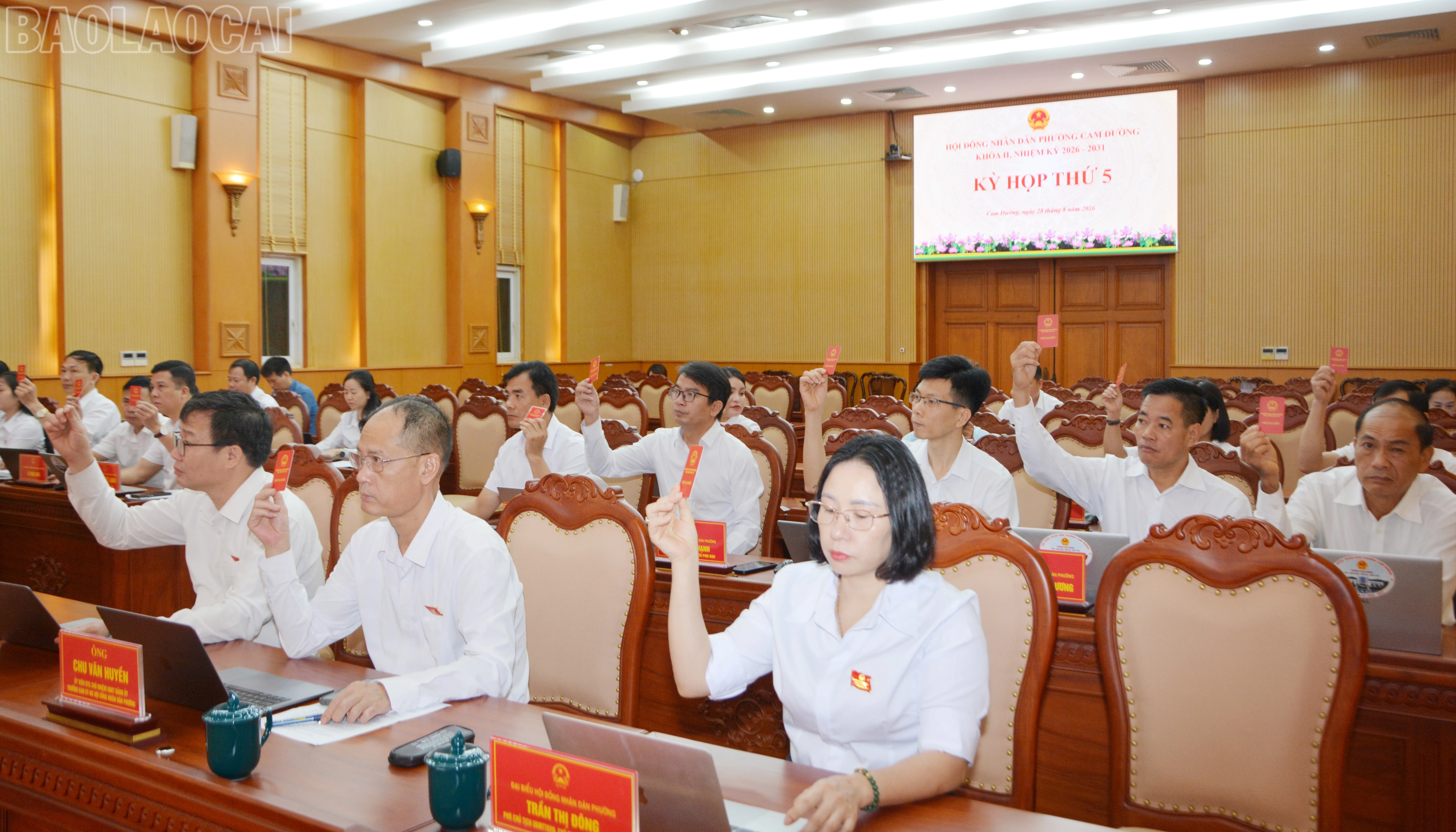 baolaocai-tl_dsc-3917.jpg