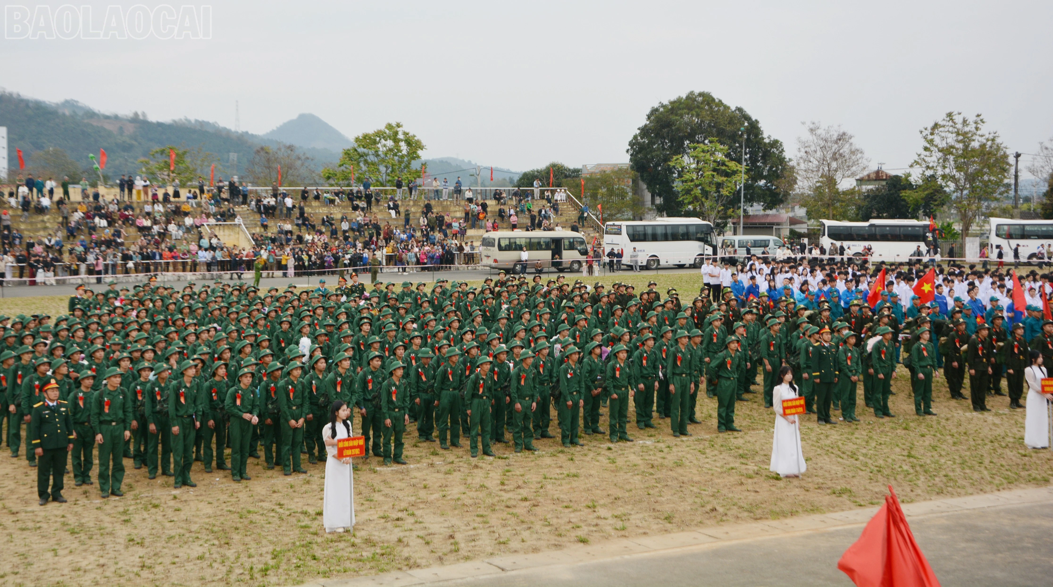 baolaocai-tl_dsc-1844.jpg