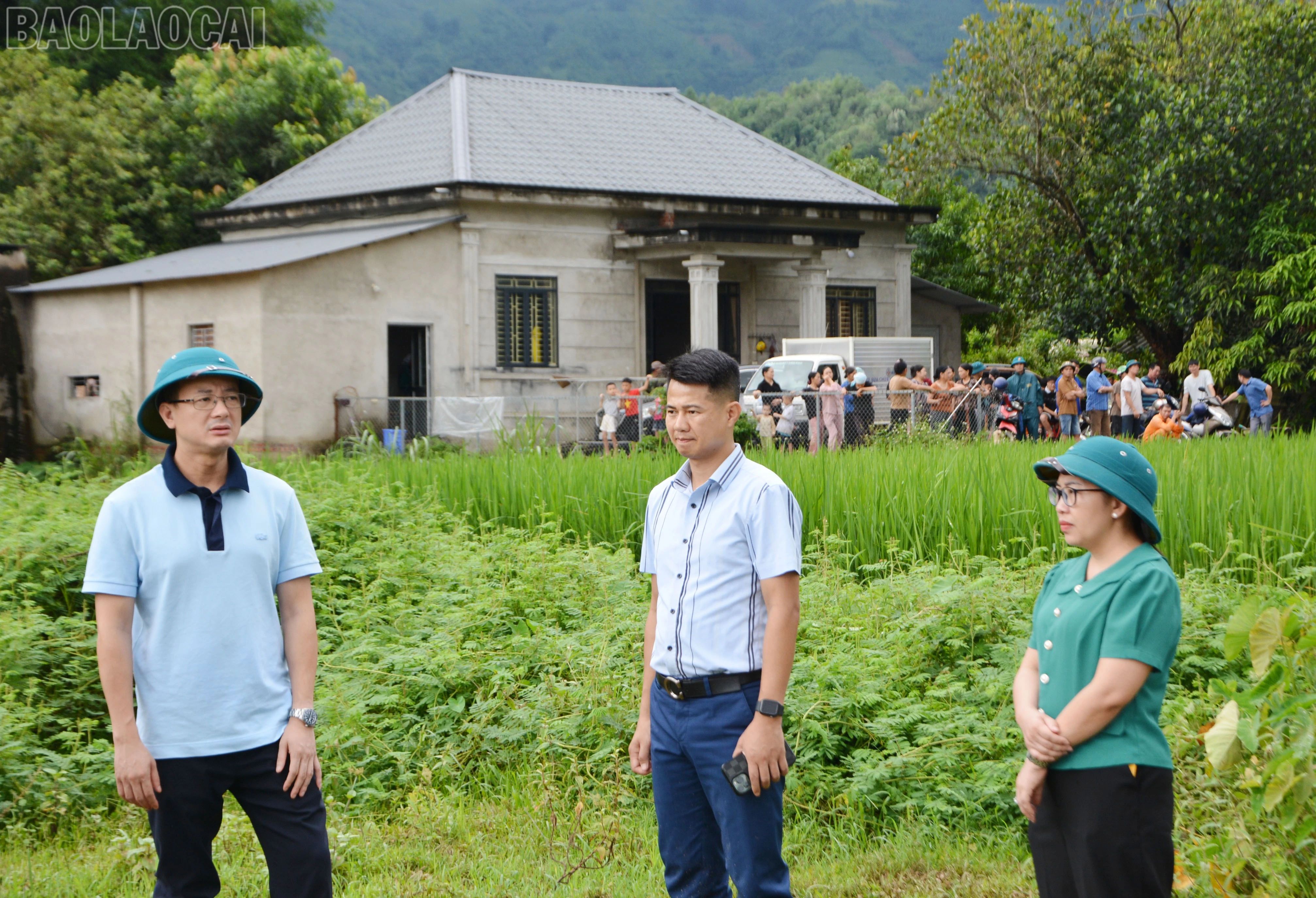 baolaocai-tl_dsc-8881.jpg