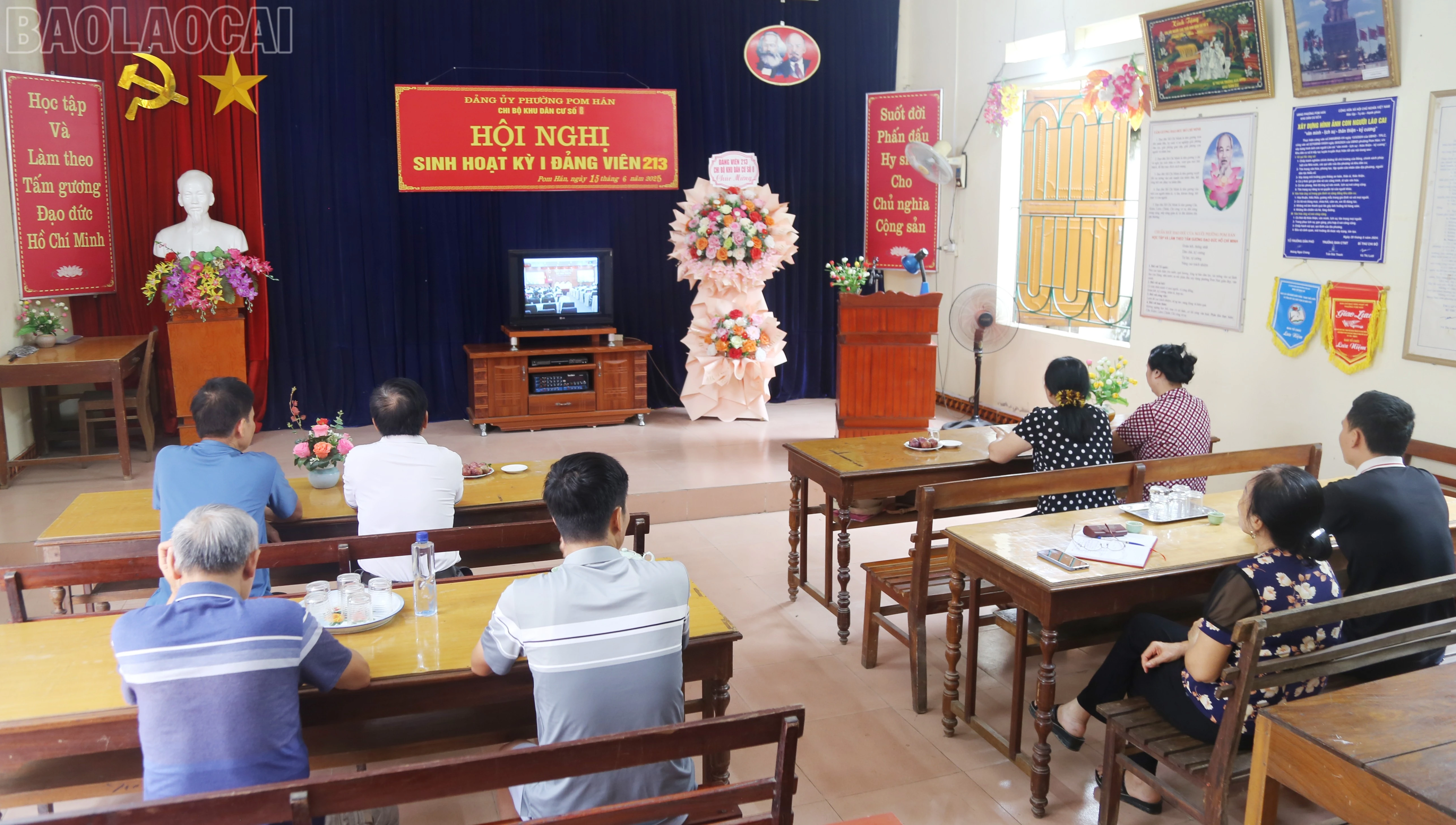 baolaocai-tl_img-7539.jpg
