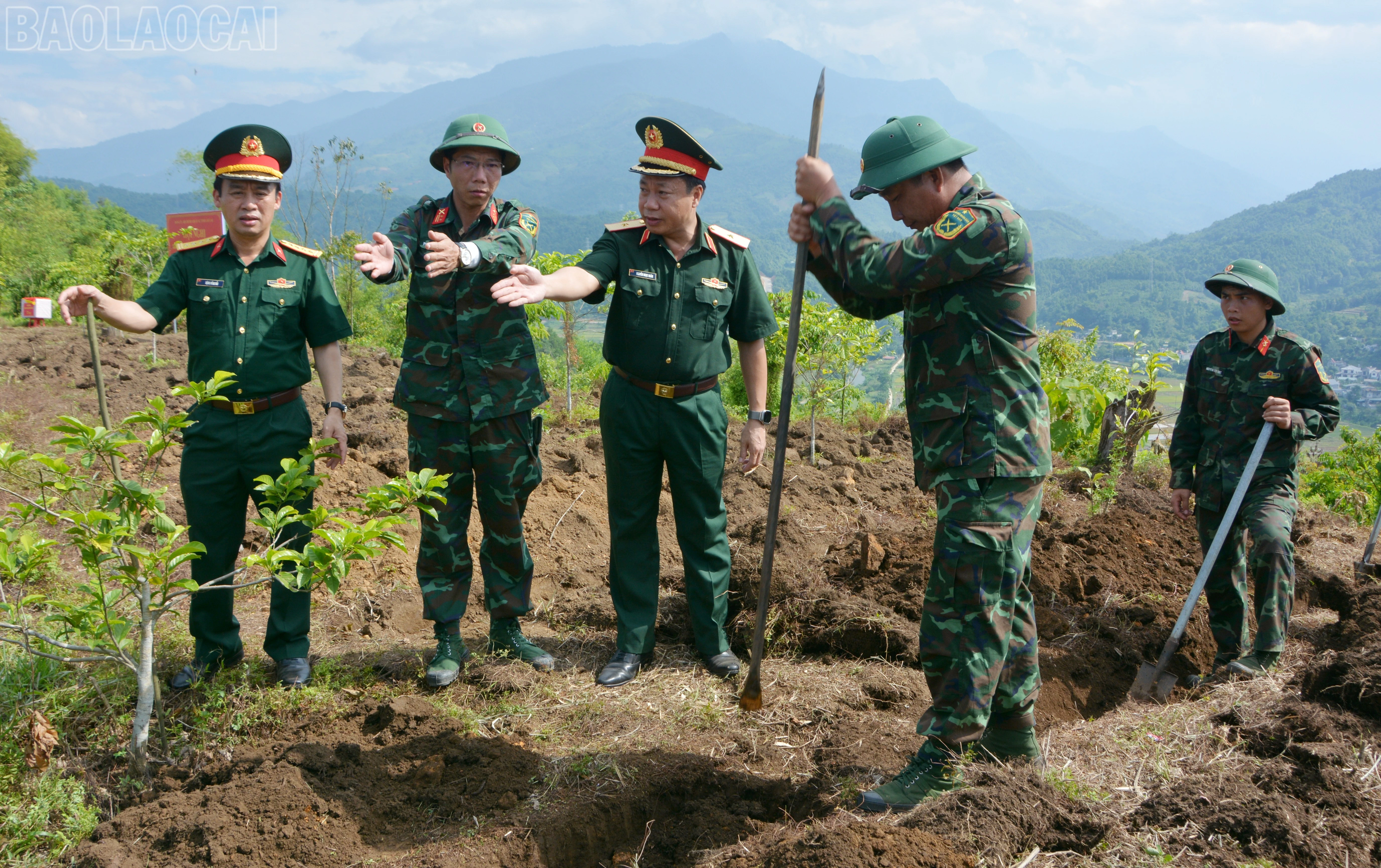 baolaocai-tl_dsc-2997.jpg