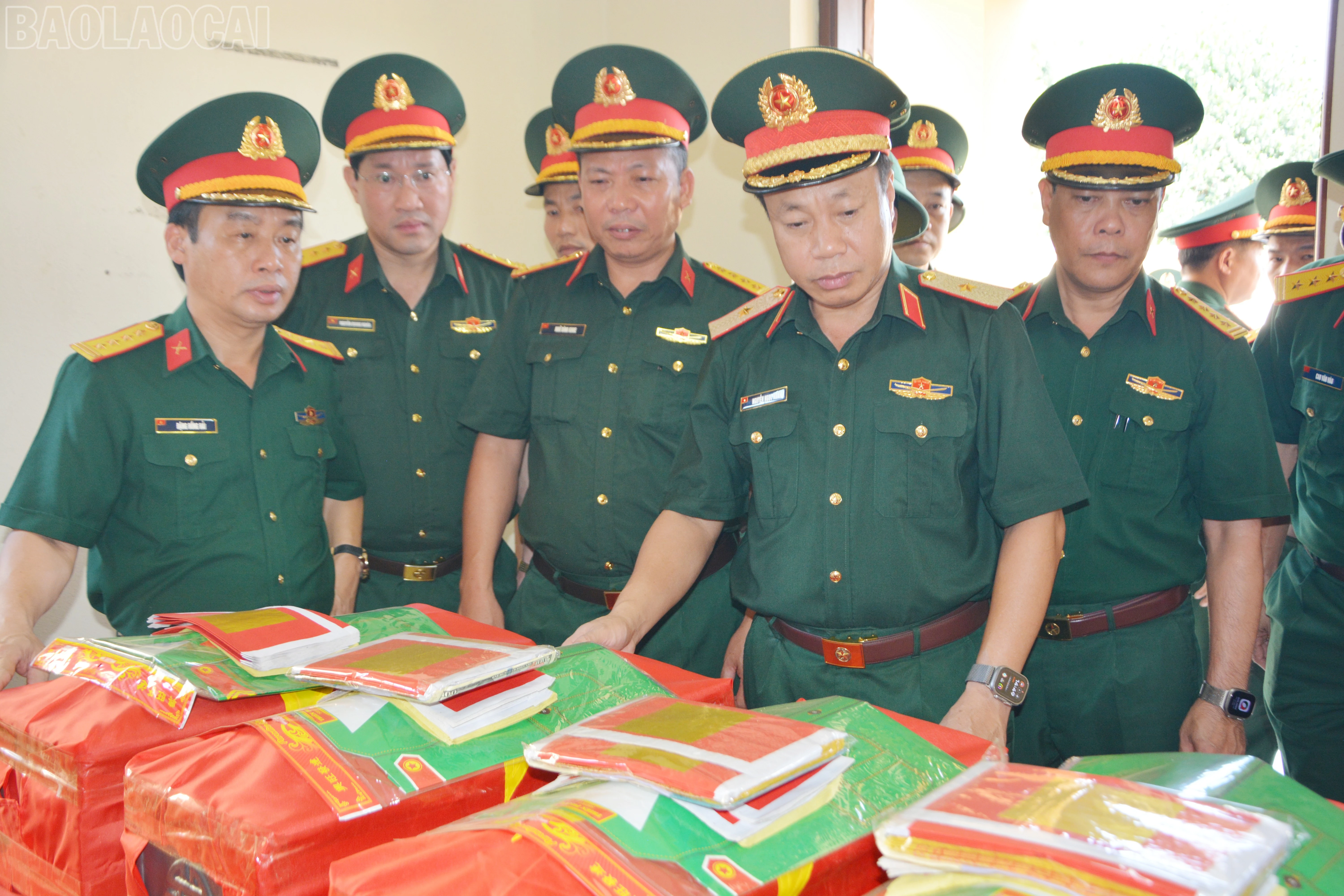 baolaocai-tl_dsc-2990.jpg