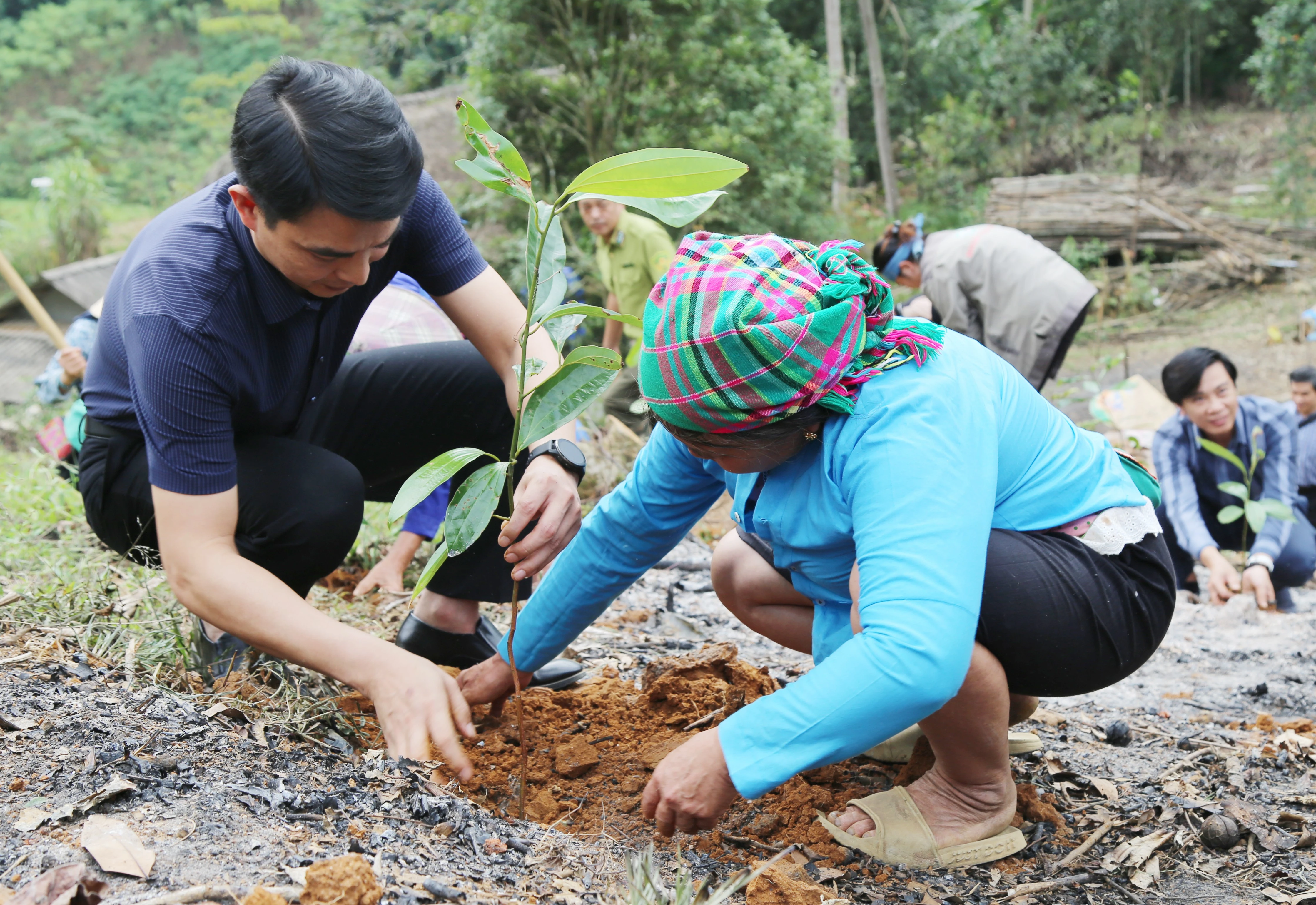 img-3784.jpg