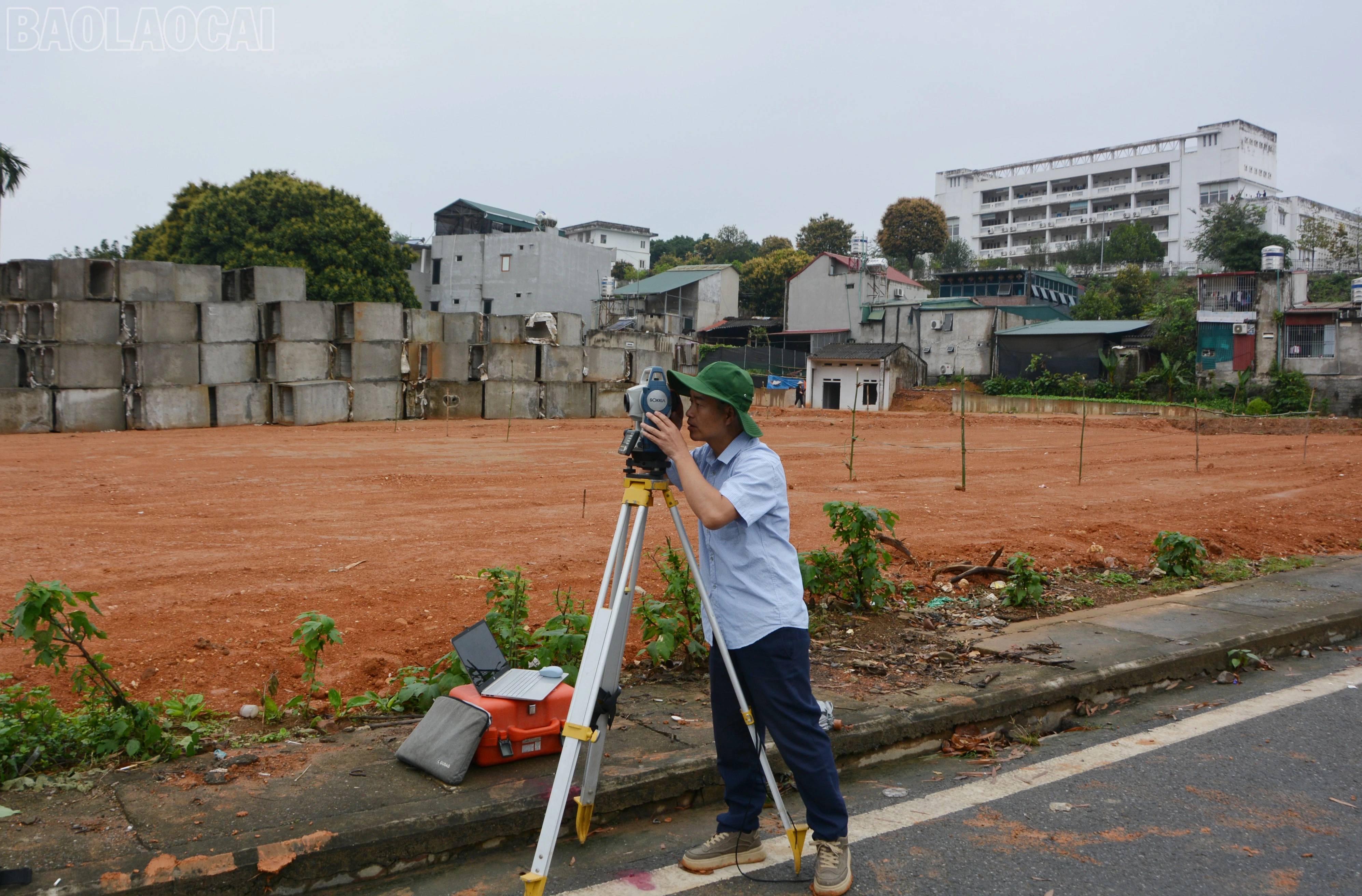 baolaocai-tl_dsc-5741.jpg