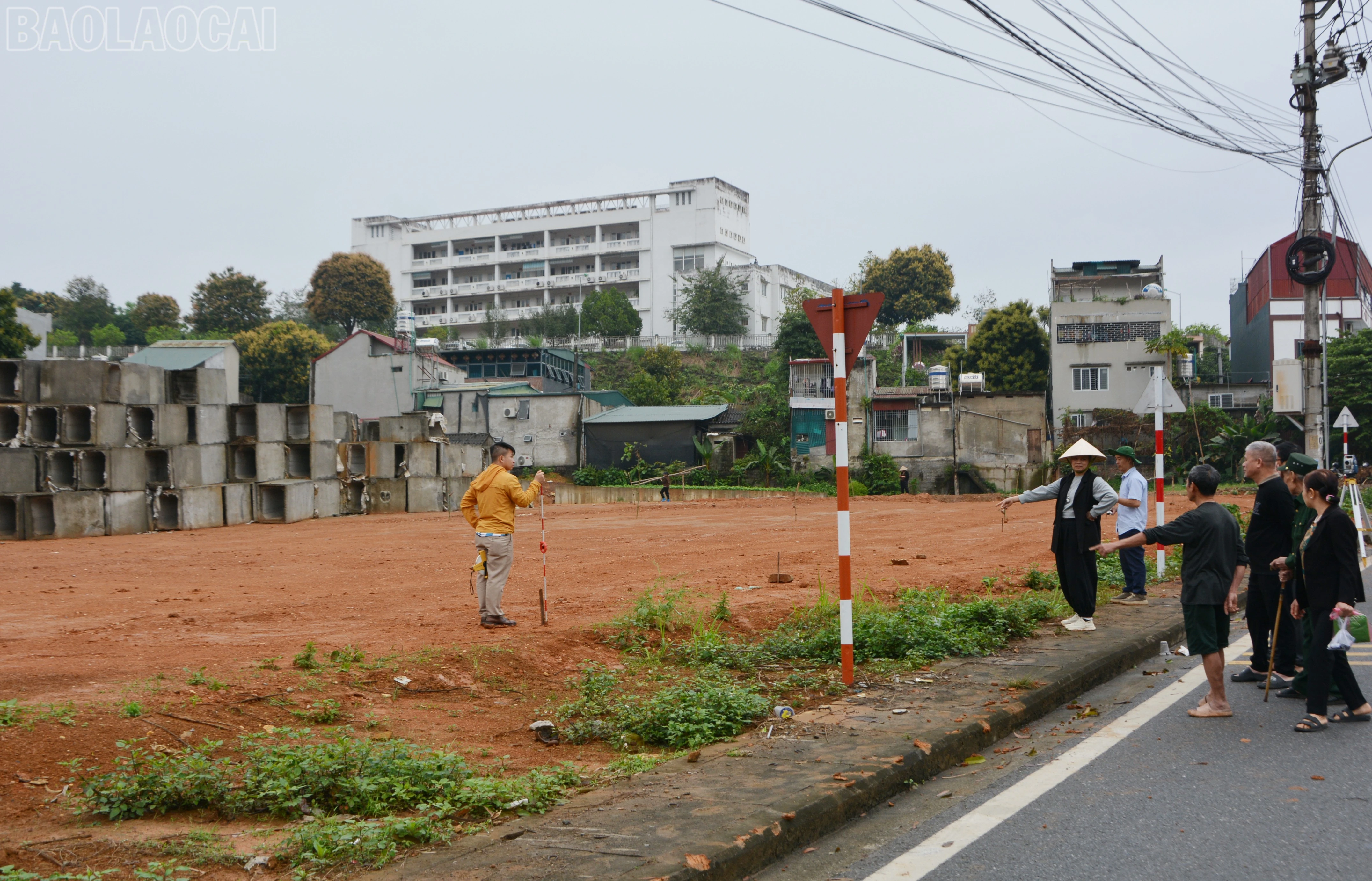 baolaocai-tl_dsc-5745.jpg