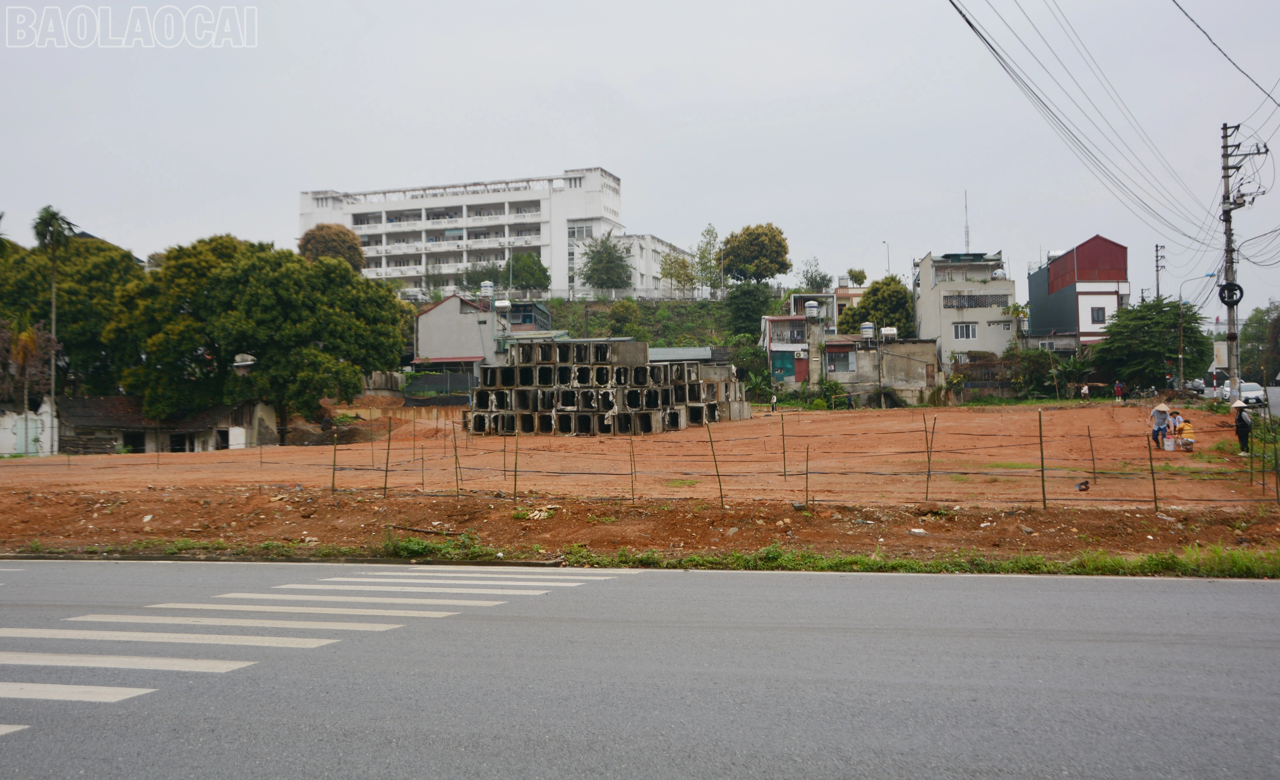 baolaocai-tl_dsc-5752.jpg