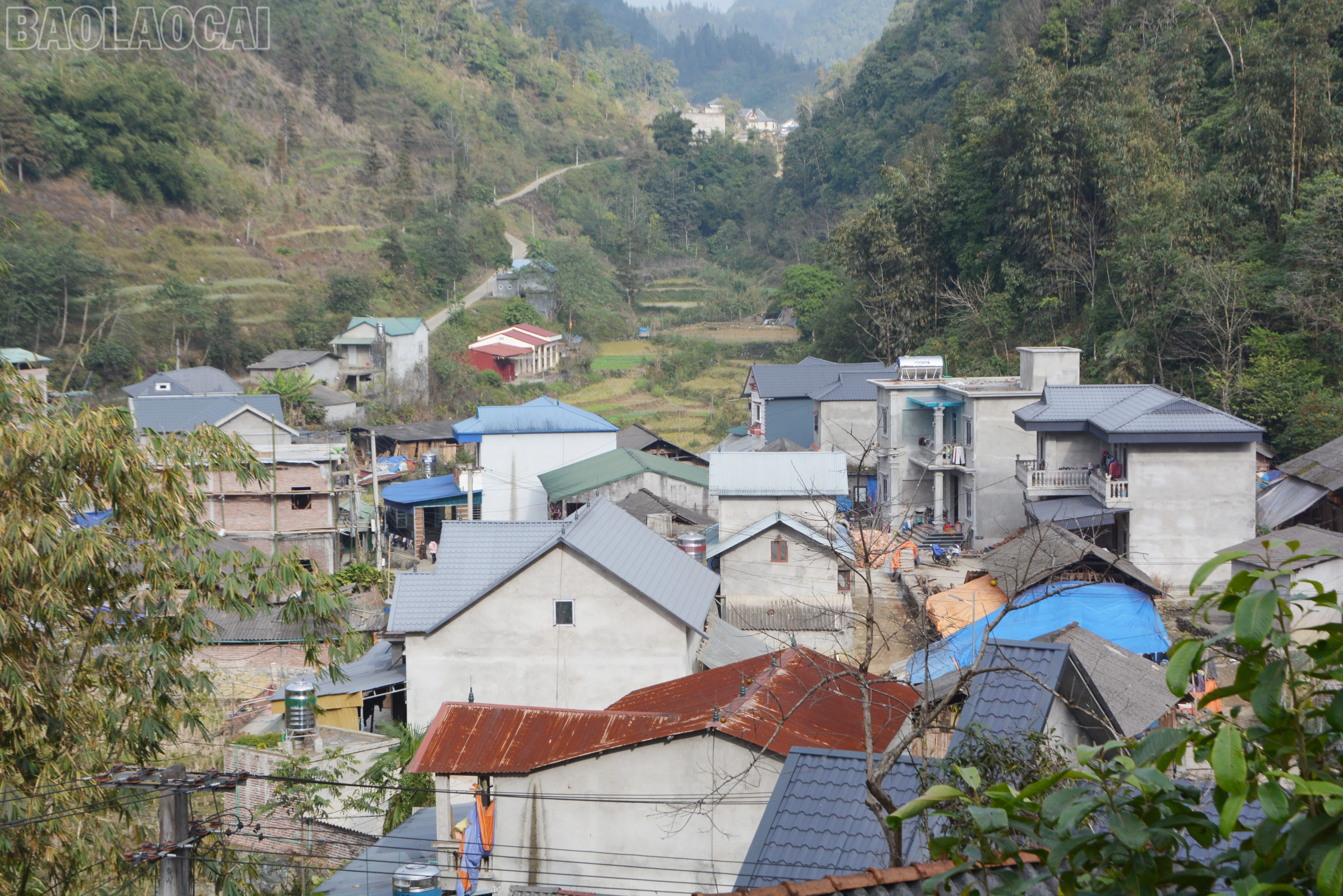 baolaocai-tl_dsc-0263.jpg