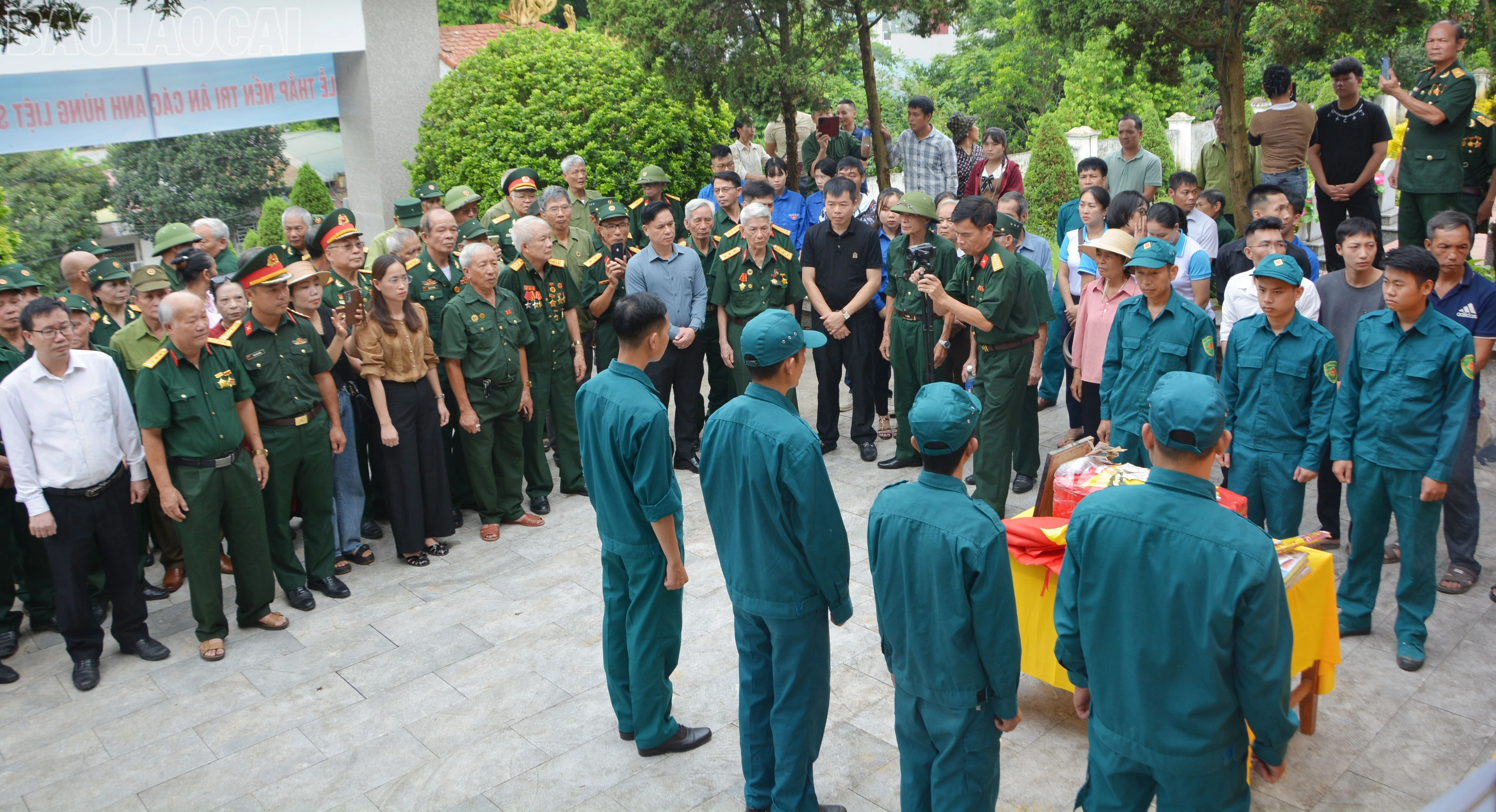 baolaocai-tl_dsc-8311.jpg