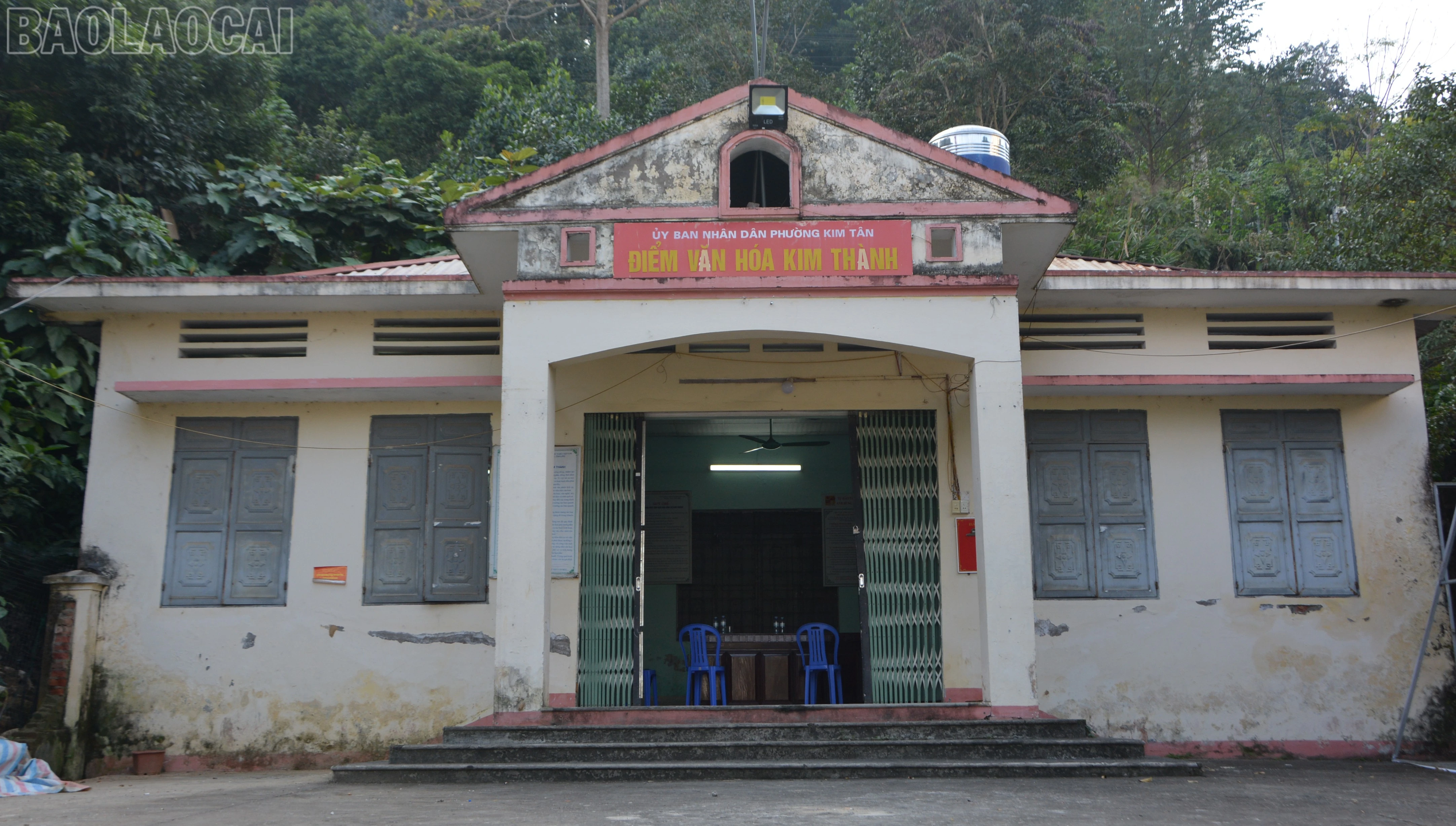 baolaocai-tl_dsc-0659.jpg