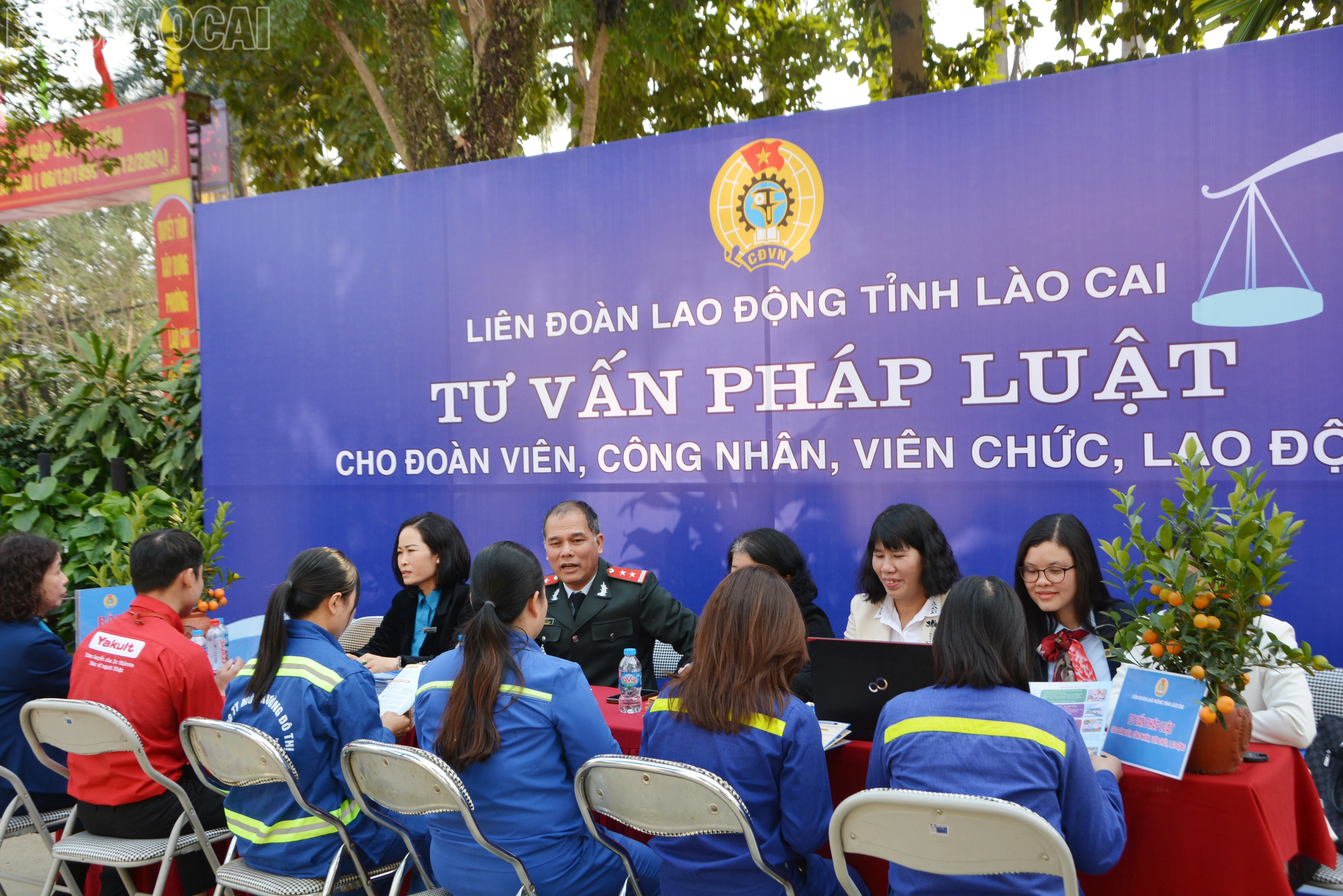 baolaocai-tl_dsc-4115-1068.jpg